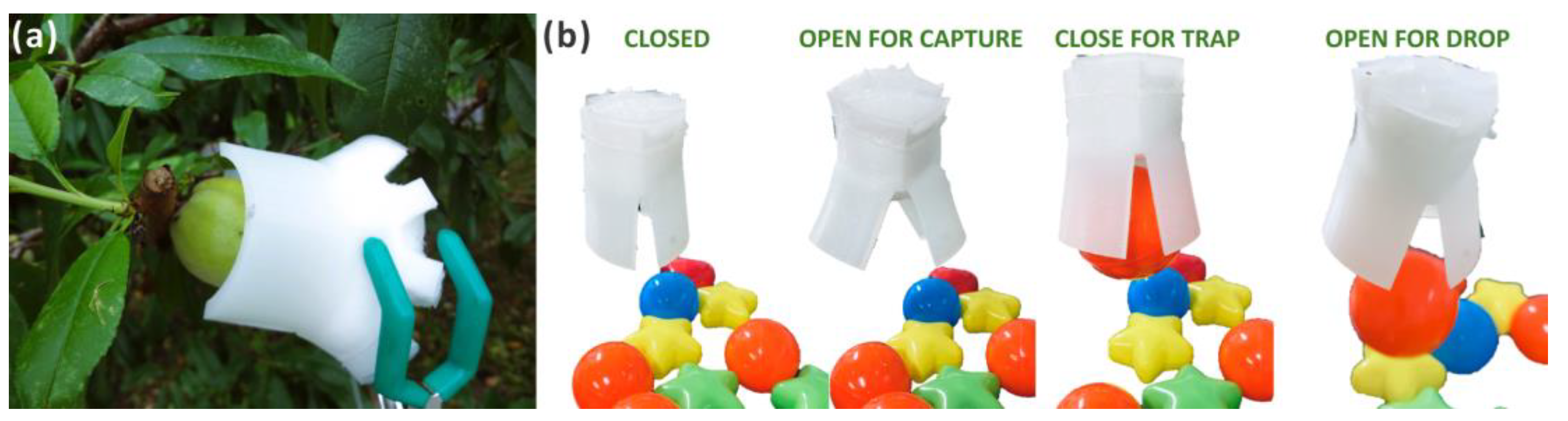 Biomimetics 09 00597 g010