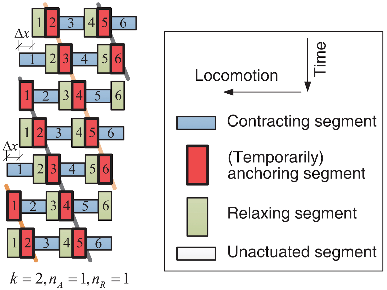 Biomimetics 09 00600 g006