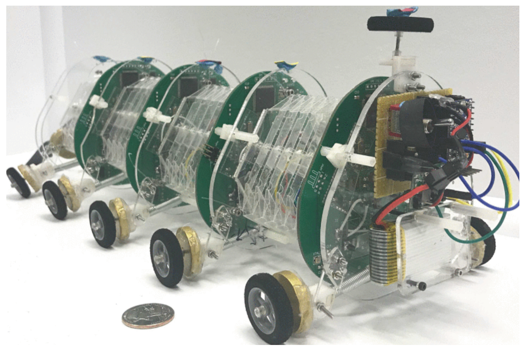 Biomimetics 09 00600 g008