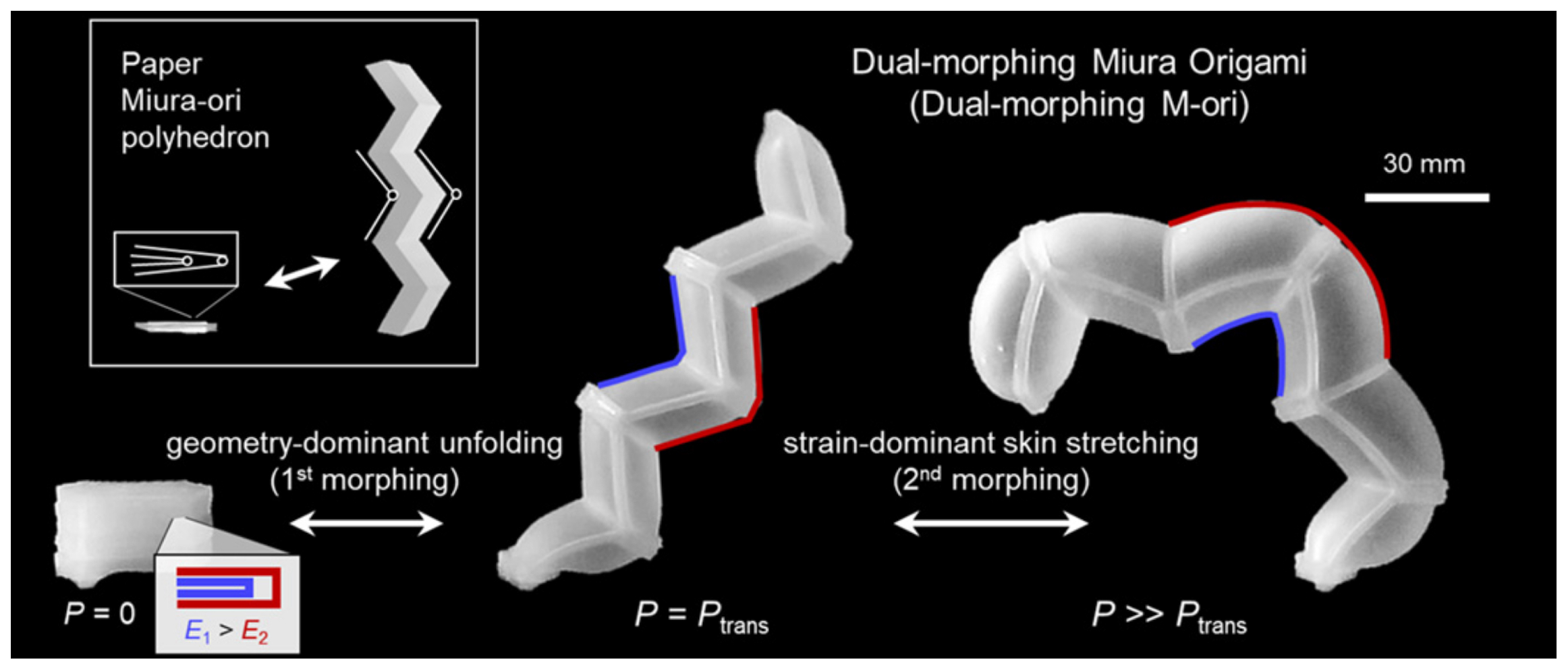 Biomimetics 09 00600 g011