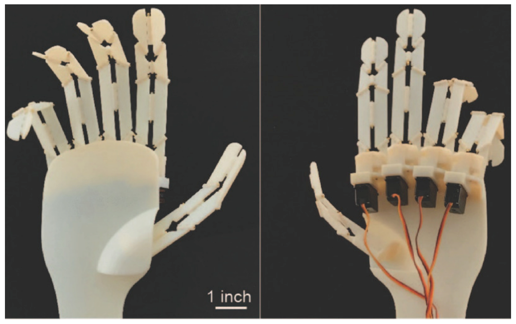 Biomimetics 09 00600 g017