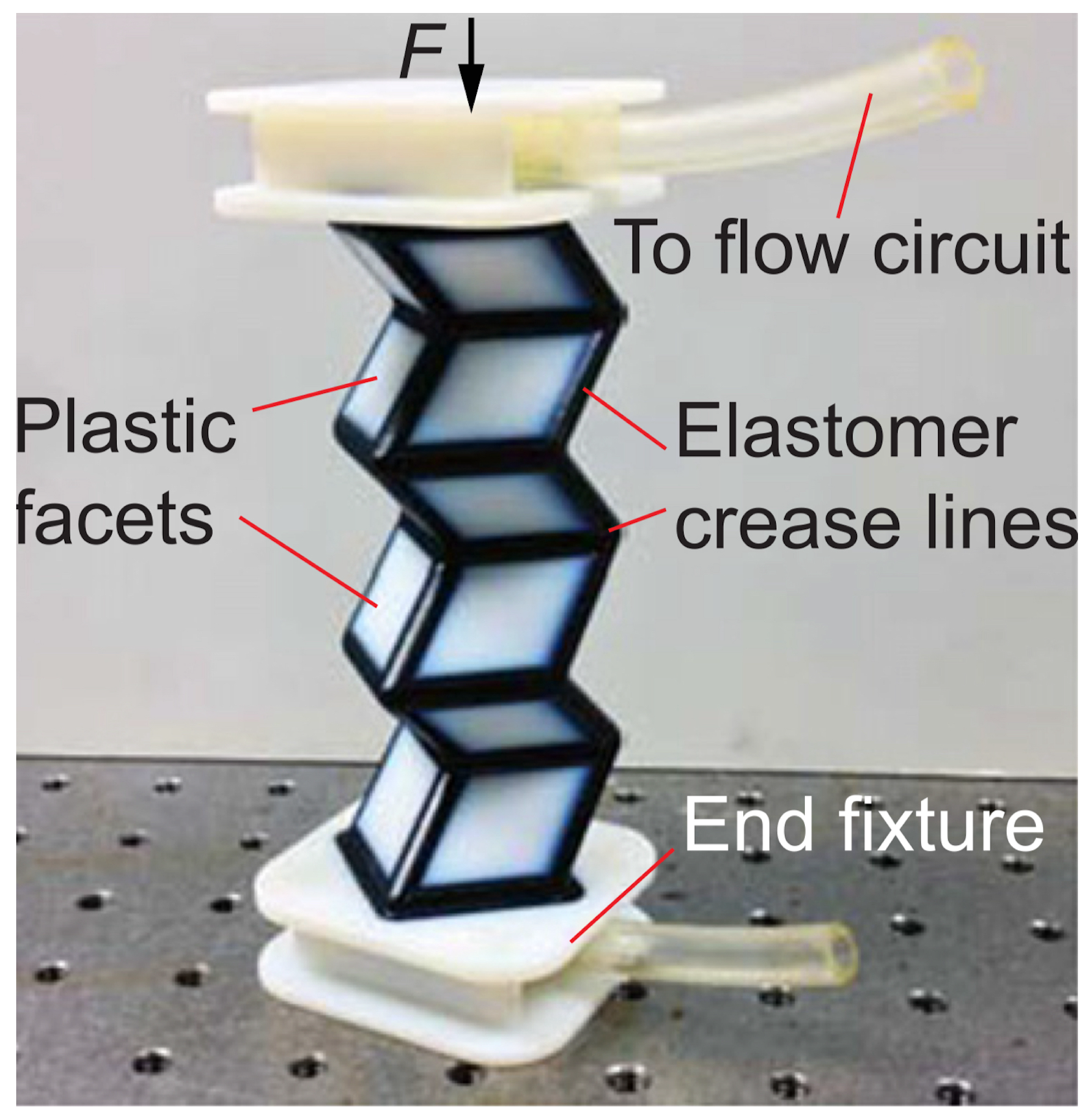 Biomimetics 09 00600 g021