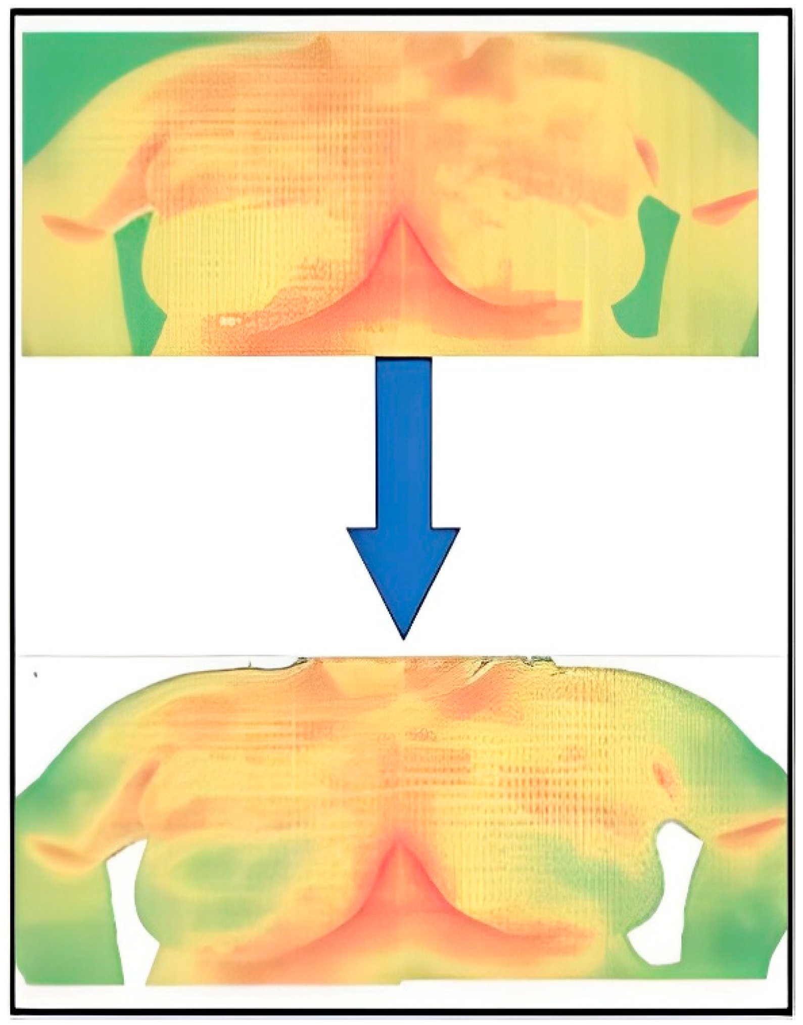 Biomimetics 09 00609 g006