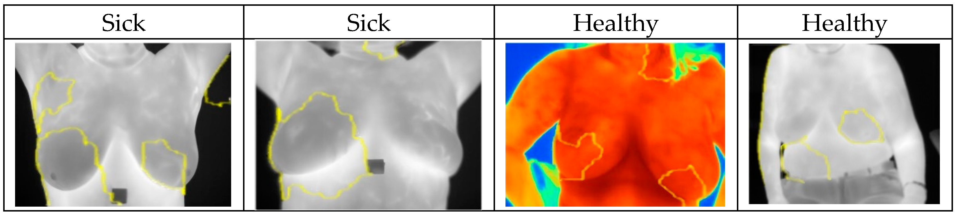 Biomimetics 09 00609 g011