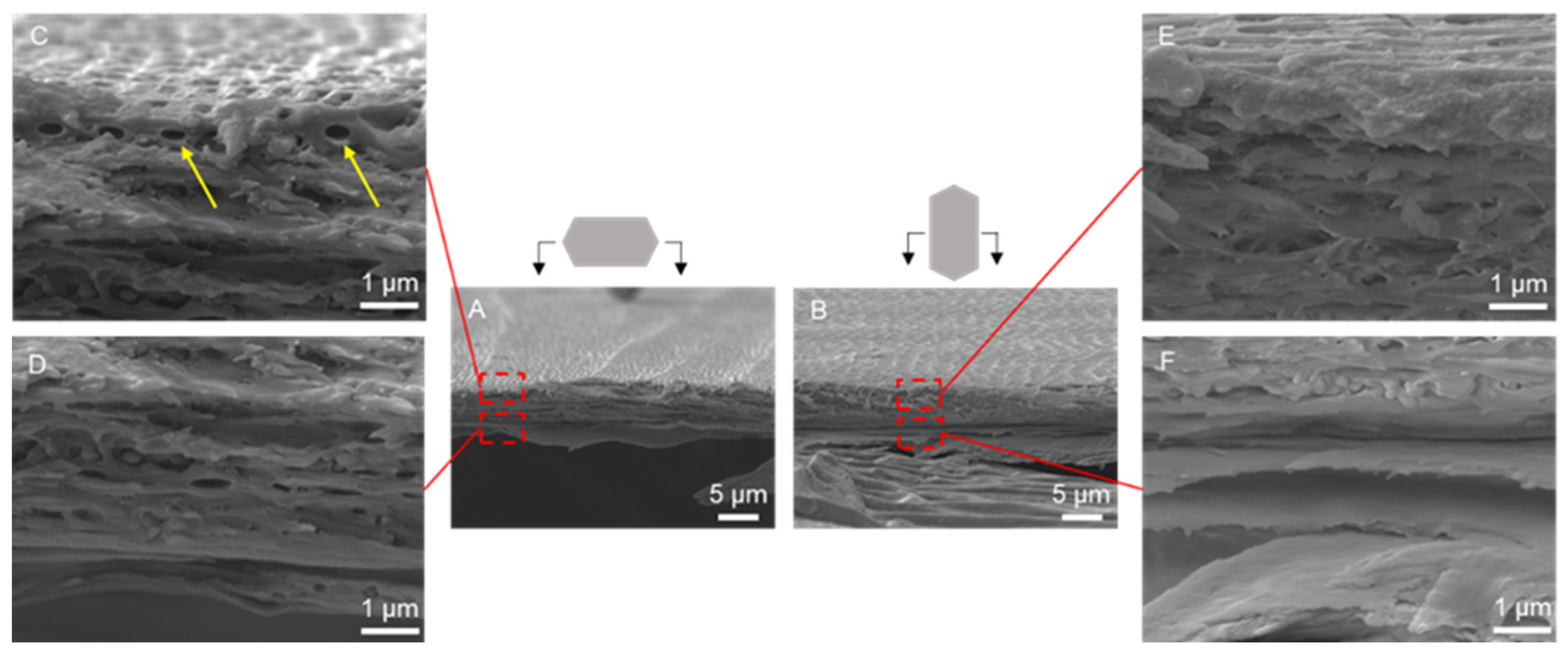 Biomimetics 09 00617 g004 Biomimetics 09 00617 g004