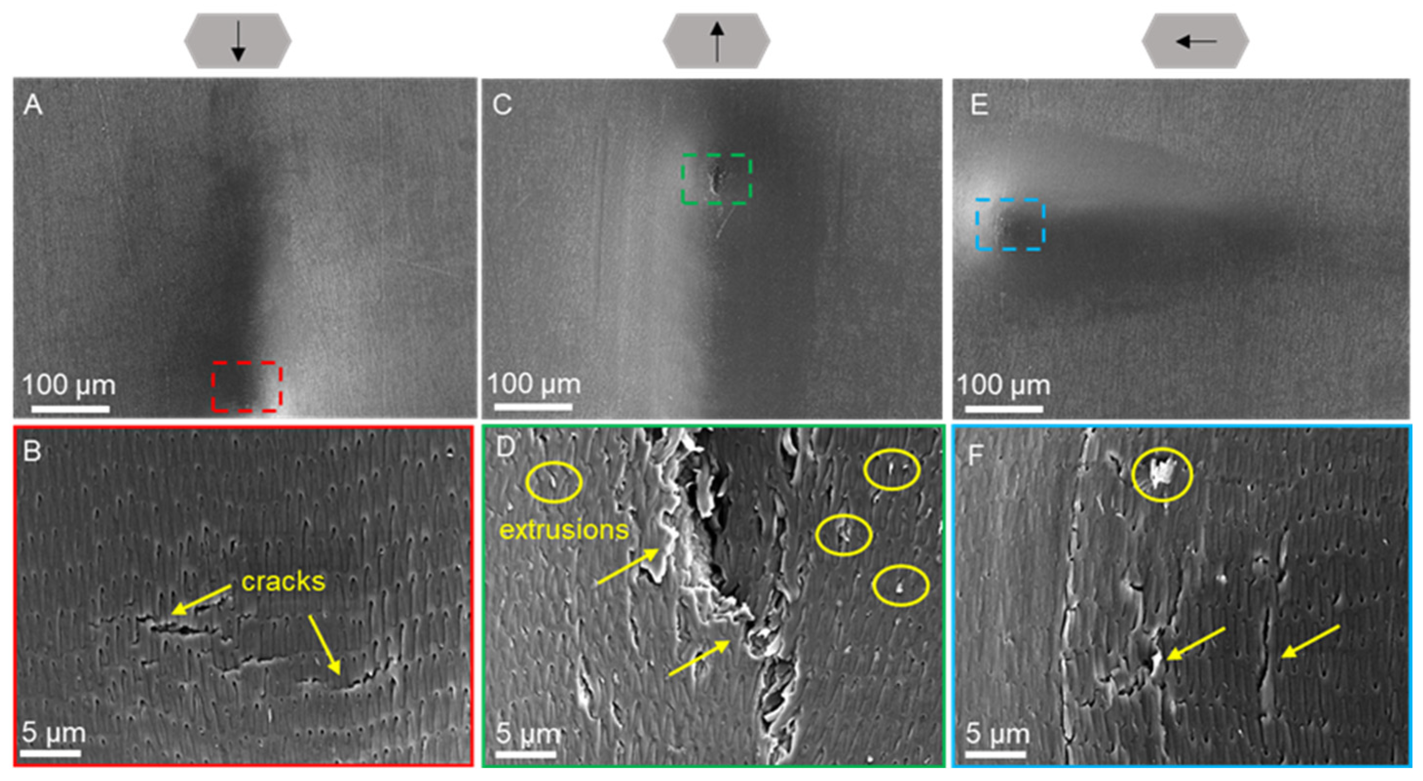 Biomimetics 09 00617 g008 Biomimetics 09 00617 g008