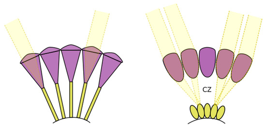 Biomimetics 09 00620 g001