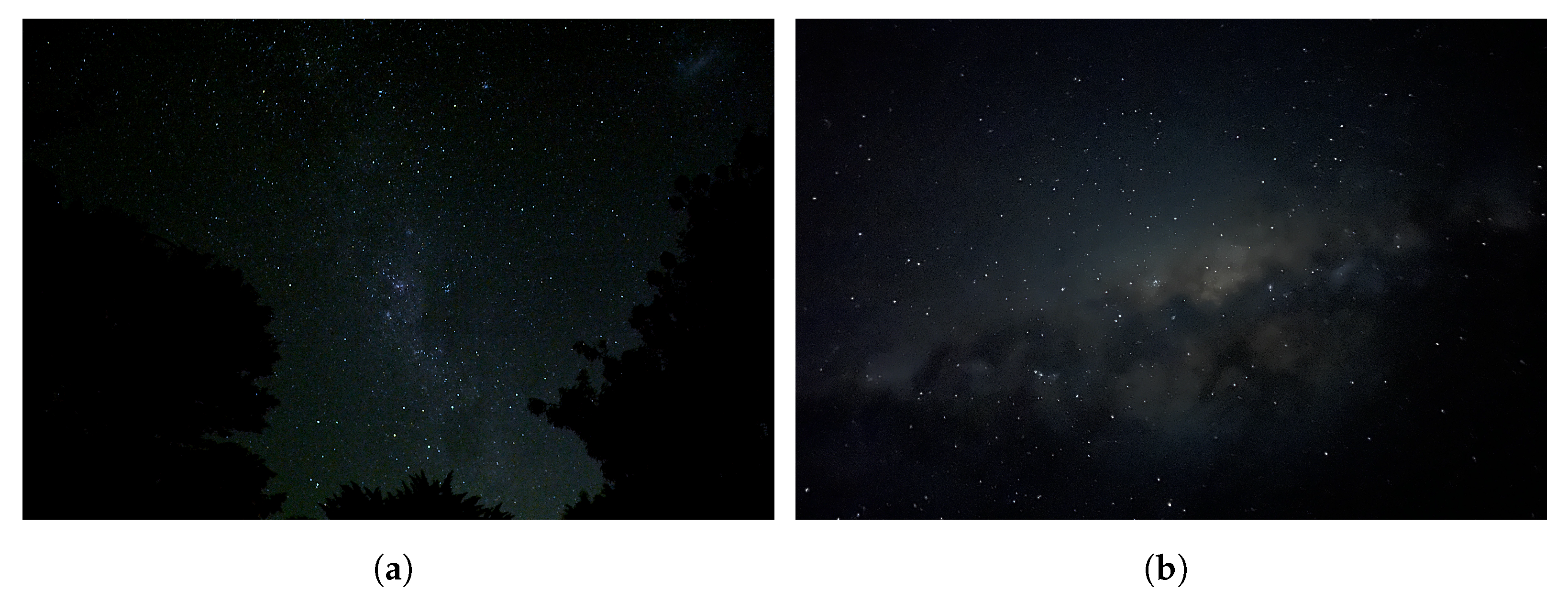 Biomimetics 09 00620 g002