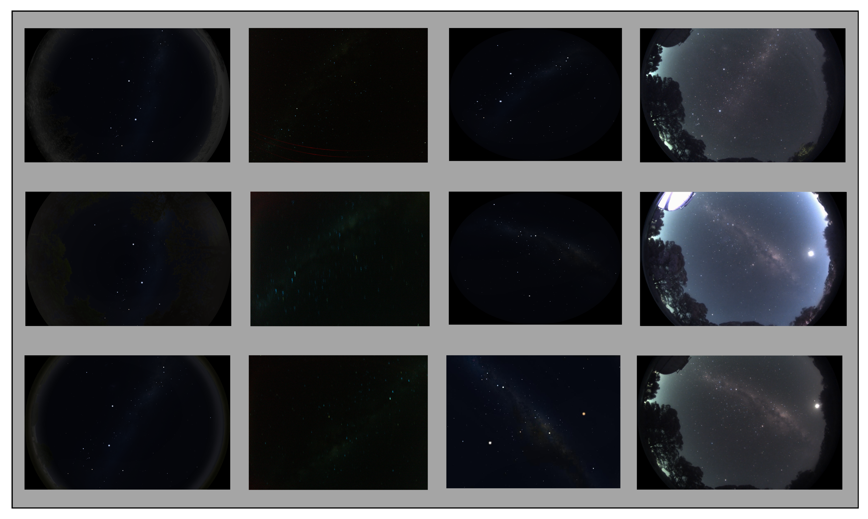 Biomimetics 09 00620 g005