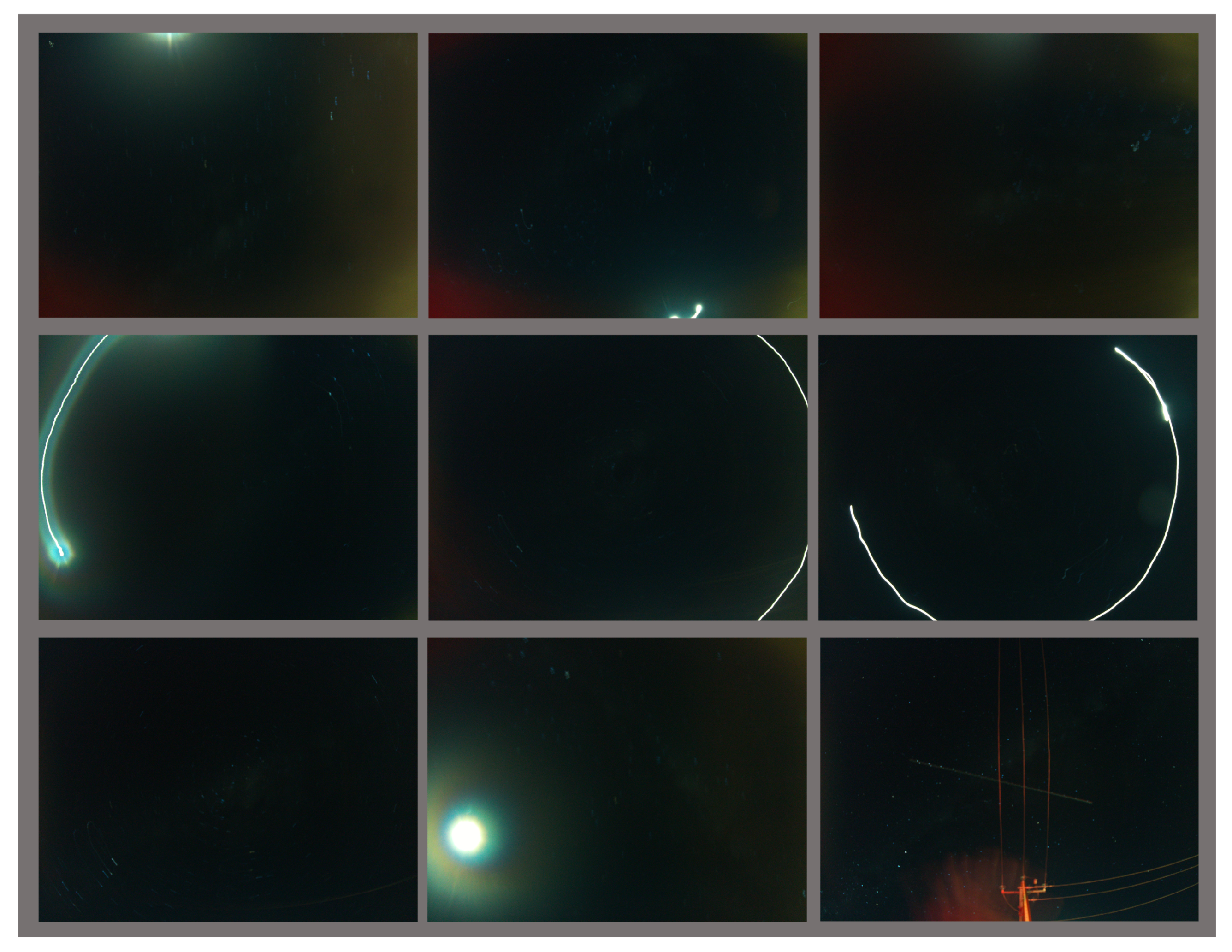 Biomimetics 09 00620 g014