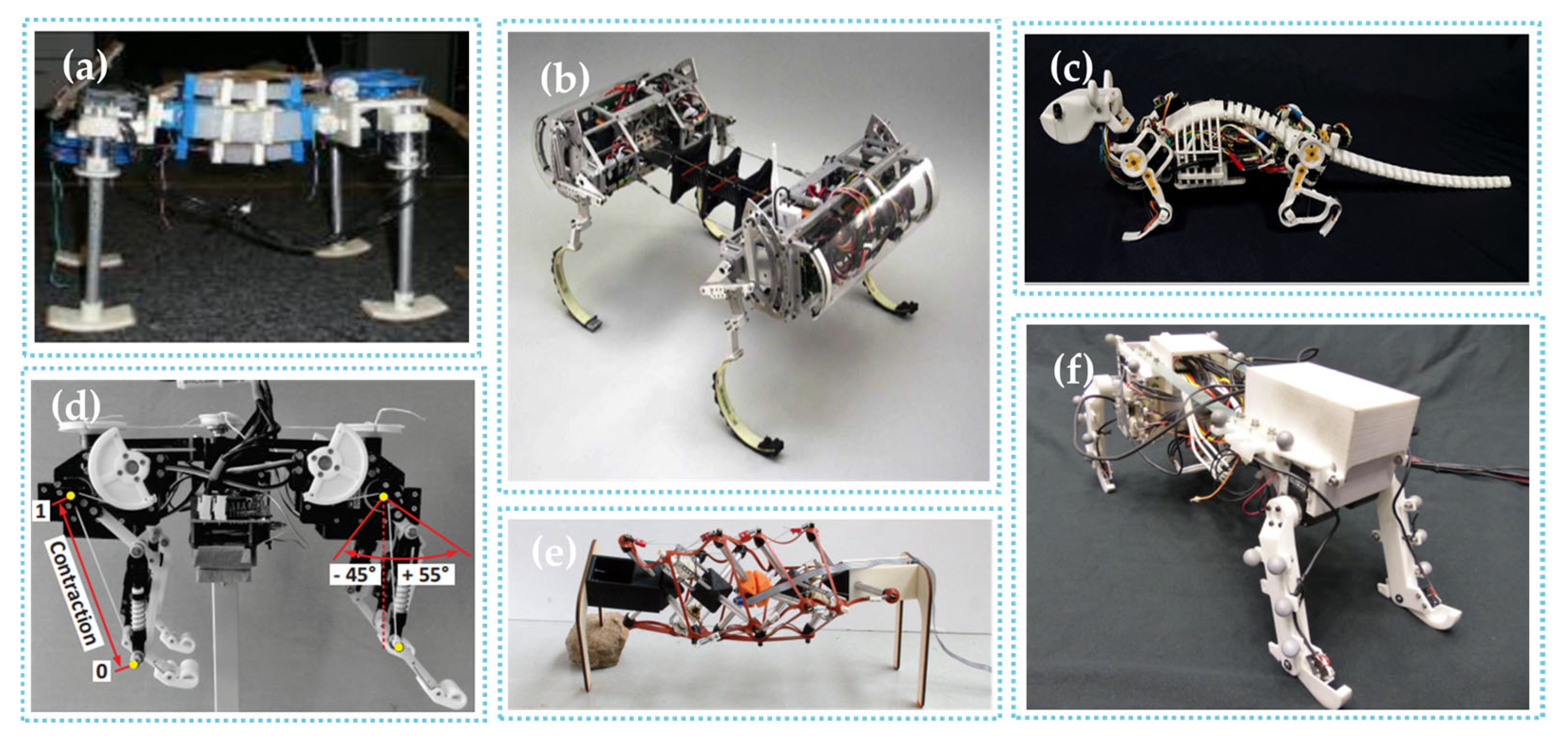 Bionic Multi-Legged Robots with Flexible Bodies: Design, Motion, and ...