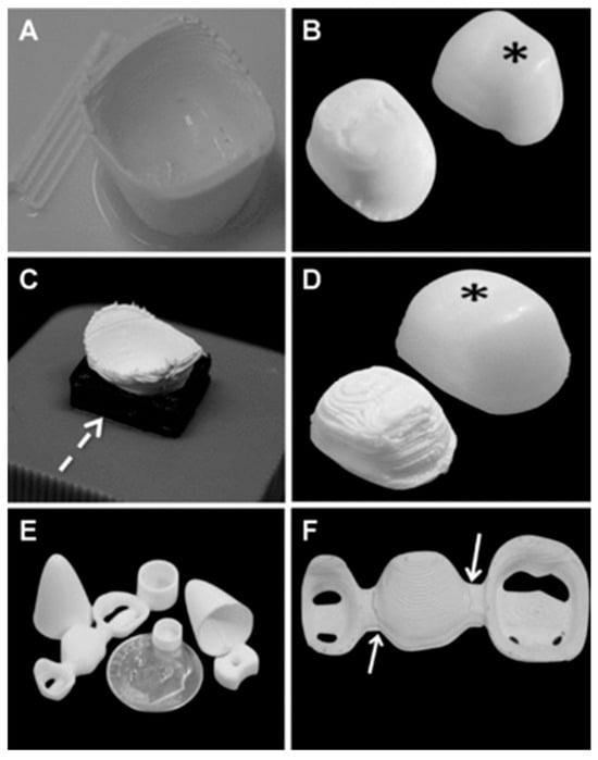 Biomimetics 09 00636 g001
