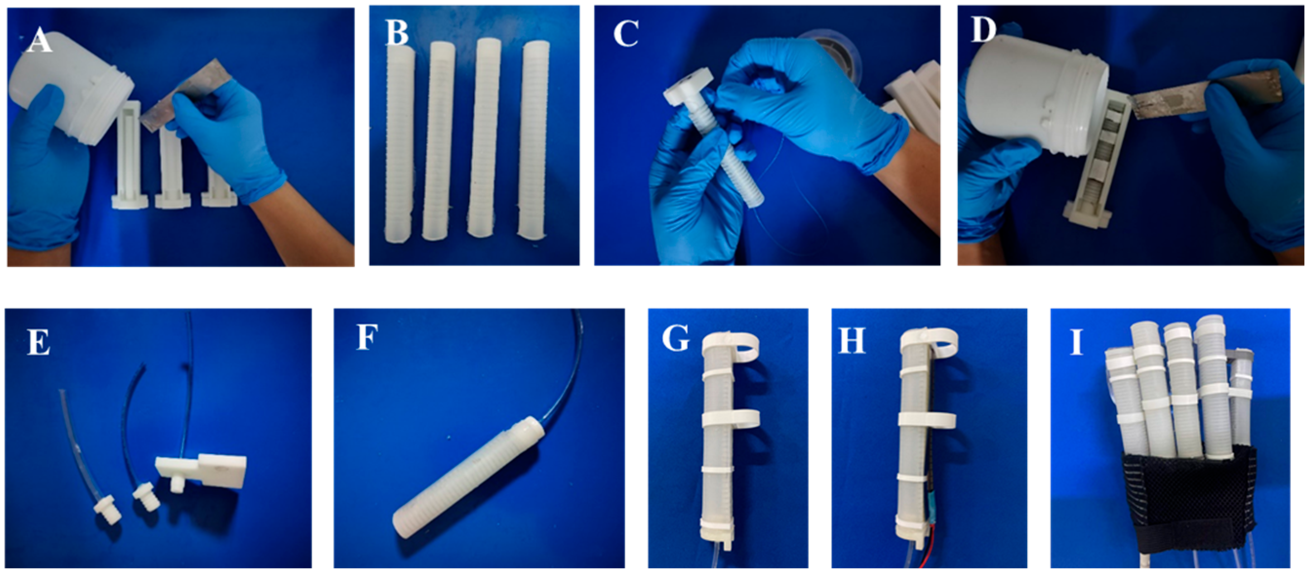 Biomimetics 09 00638 g002