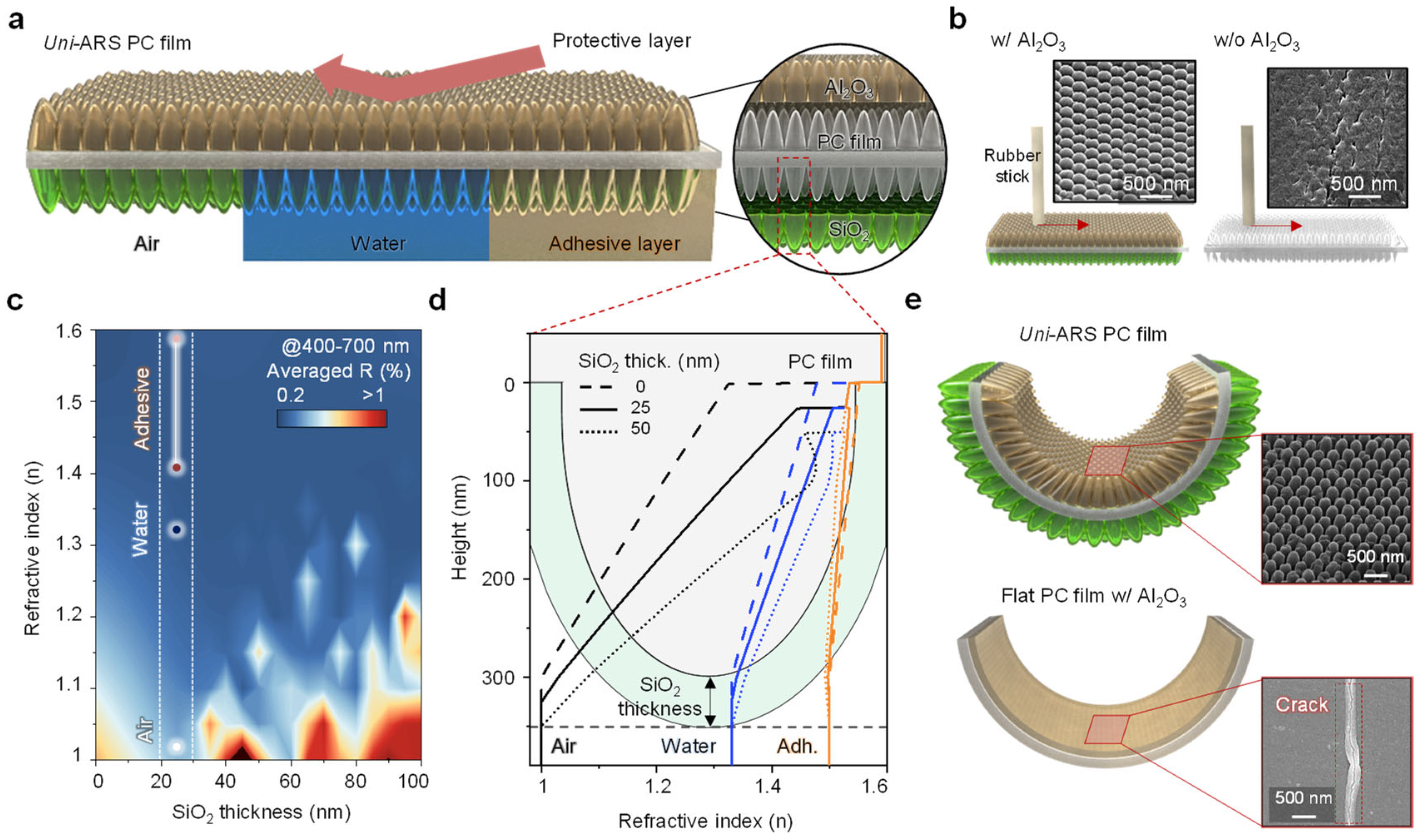 Biomimetics 09 00644 g001