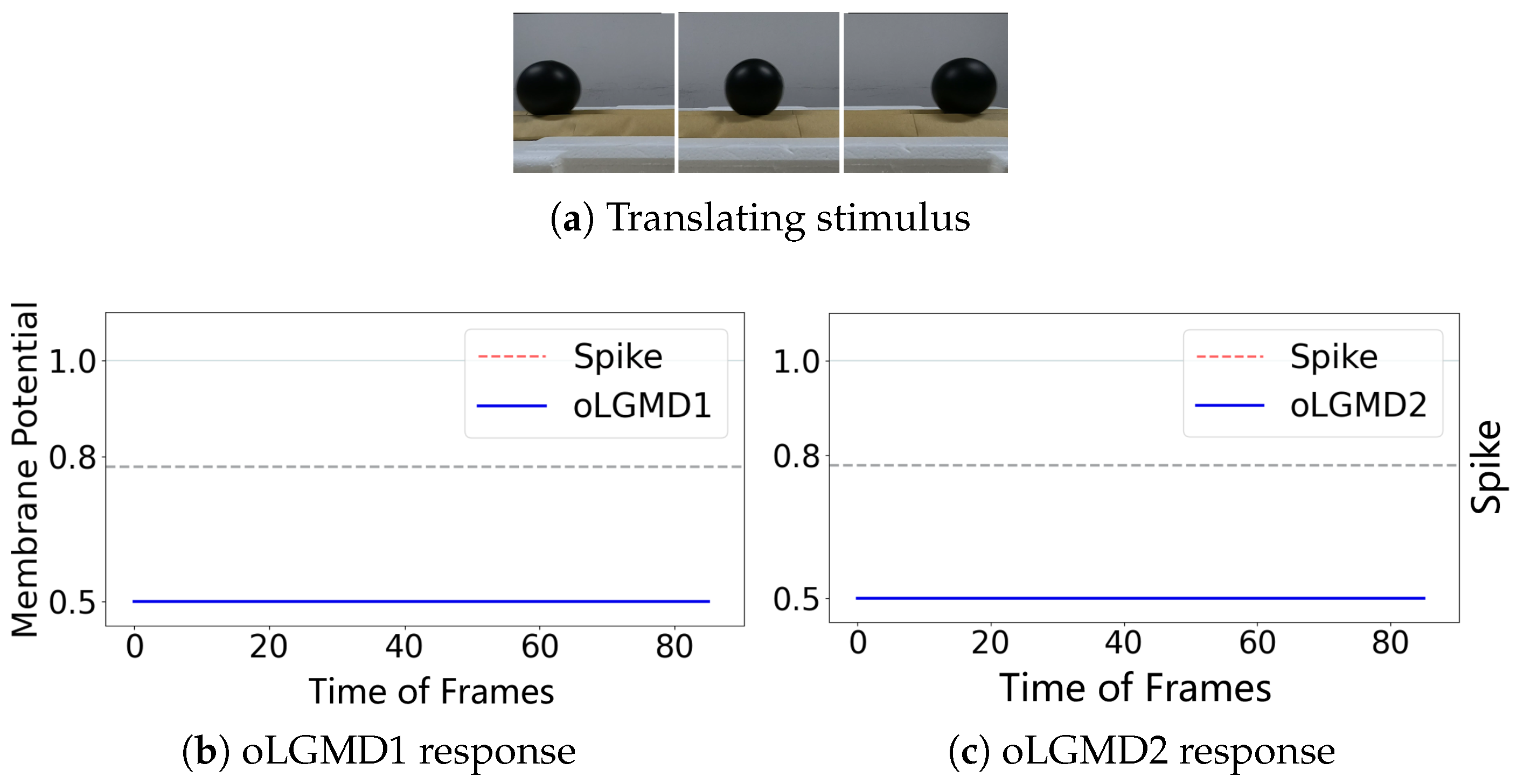 Biomimetics 09 00650 g009