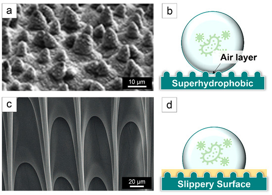 Biomimetics 09 00656 g004