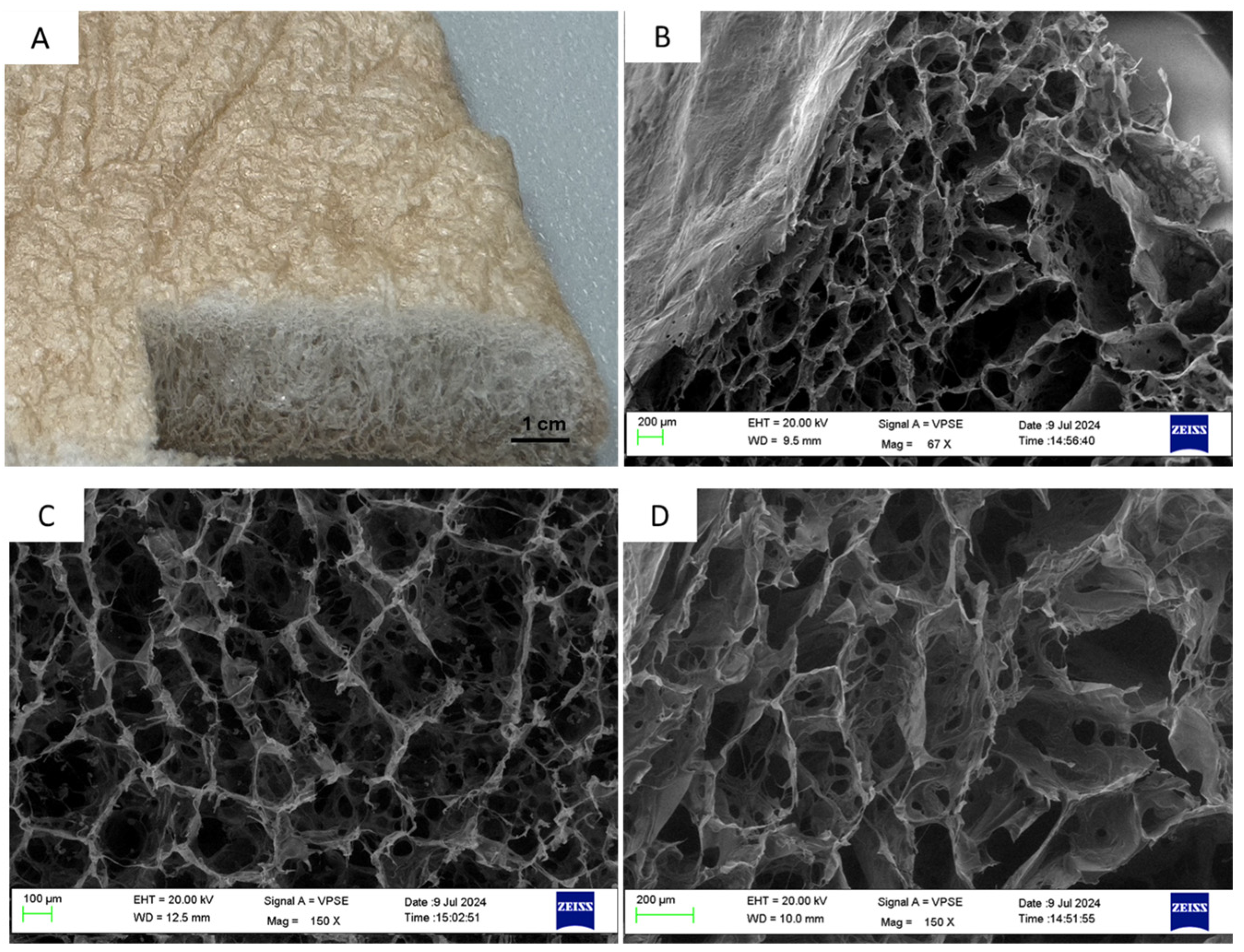 Biomimetics 09 00659 g003