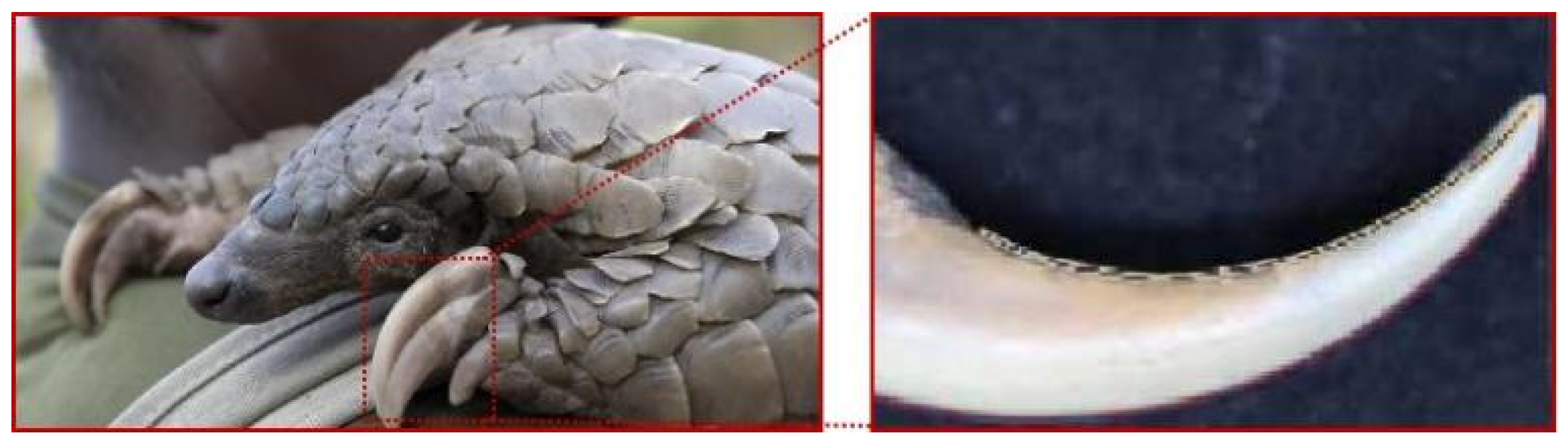 Biomimetics 09 00686 g004 Biomimetics 09 00686 g004