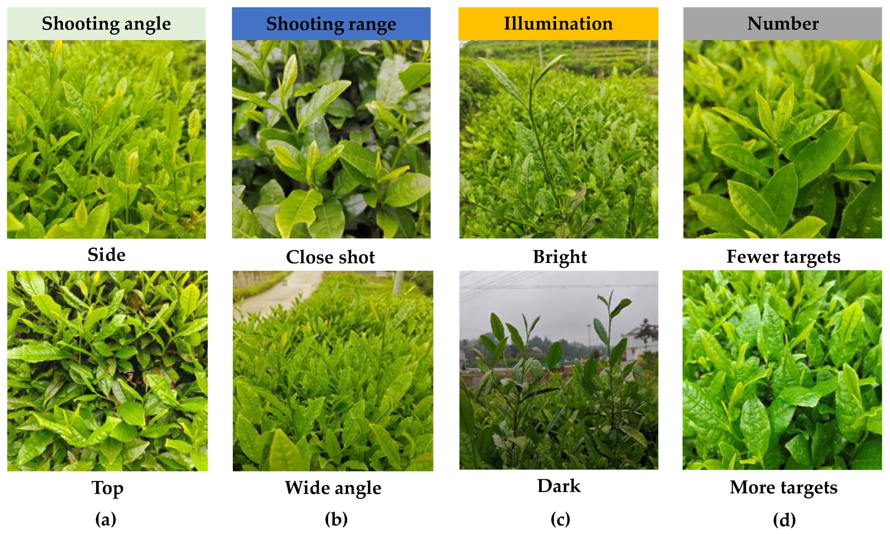 Biomimetics 09 00692 g001