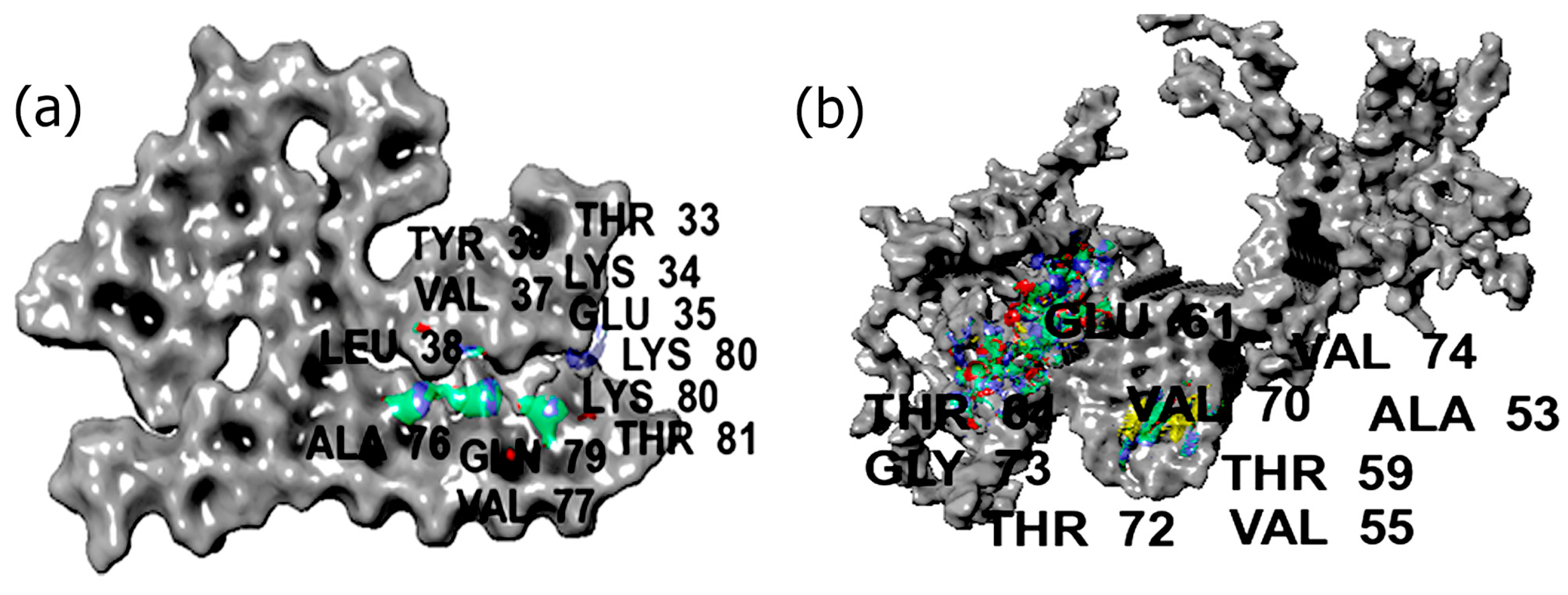 Biomimetics 09 00705 g001