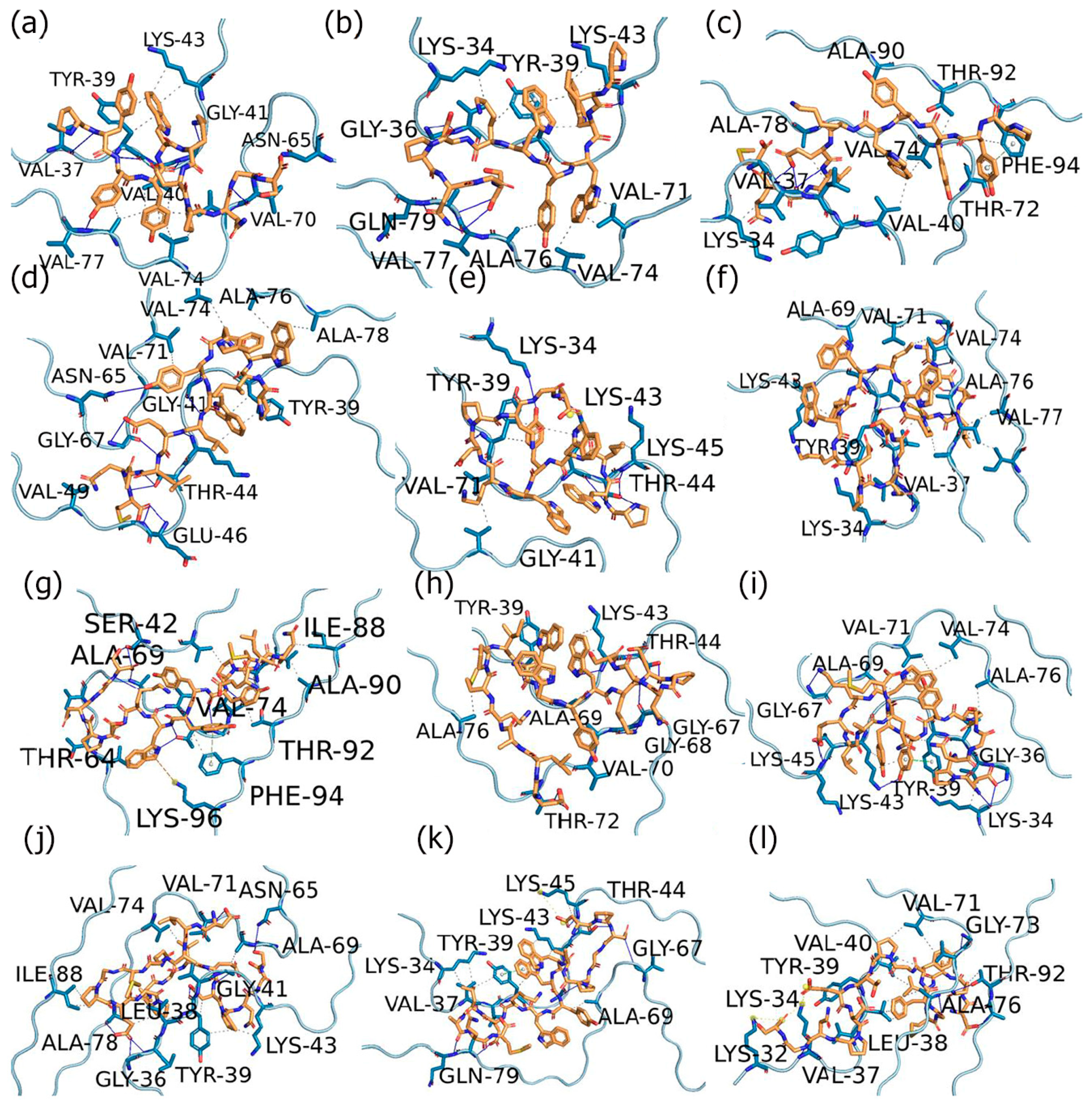 Biomimetics 09 00705 g002