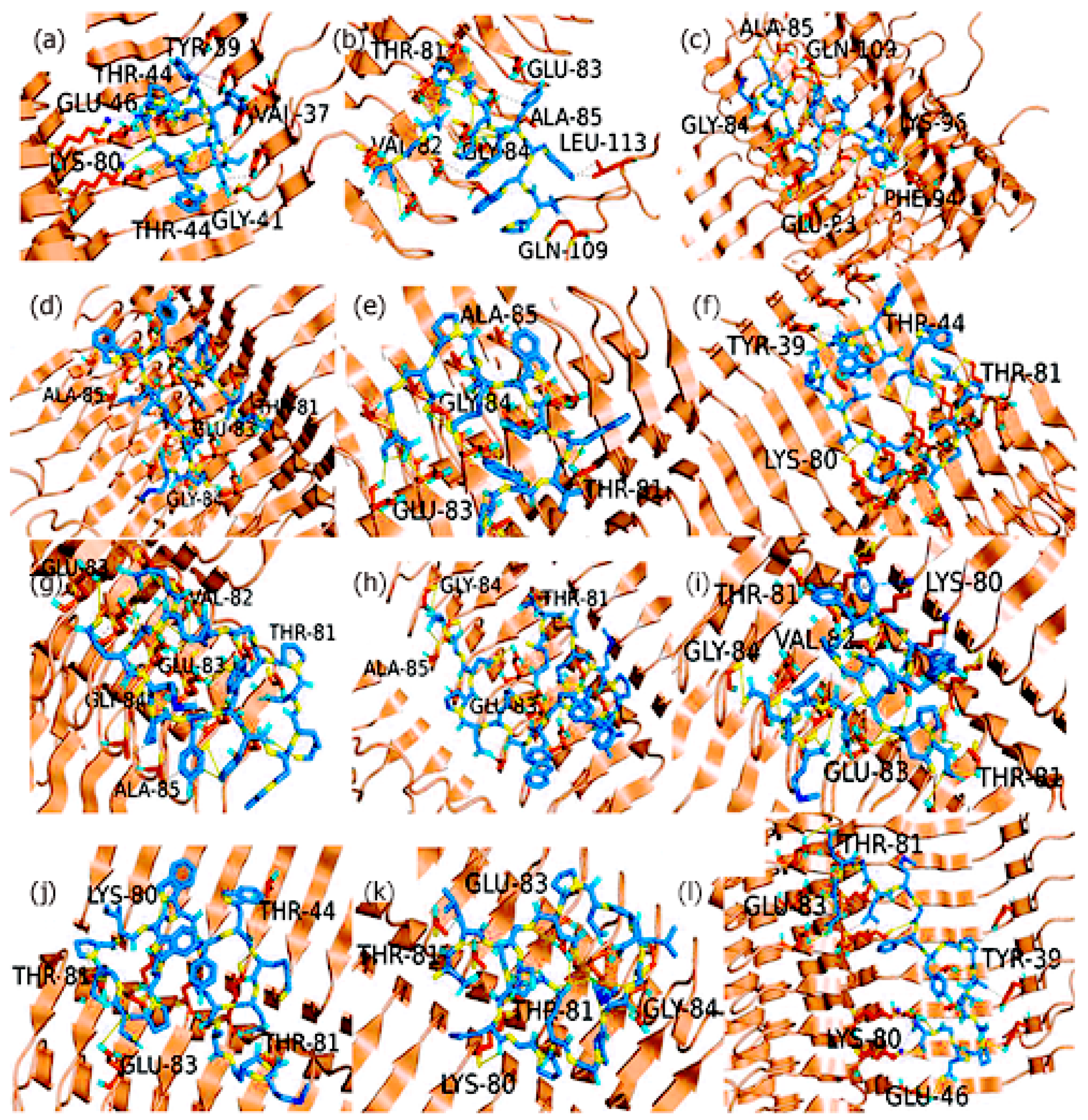 Biomimetics 09 00705 g003