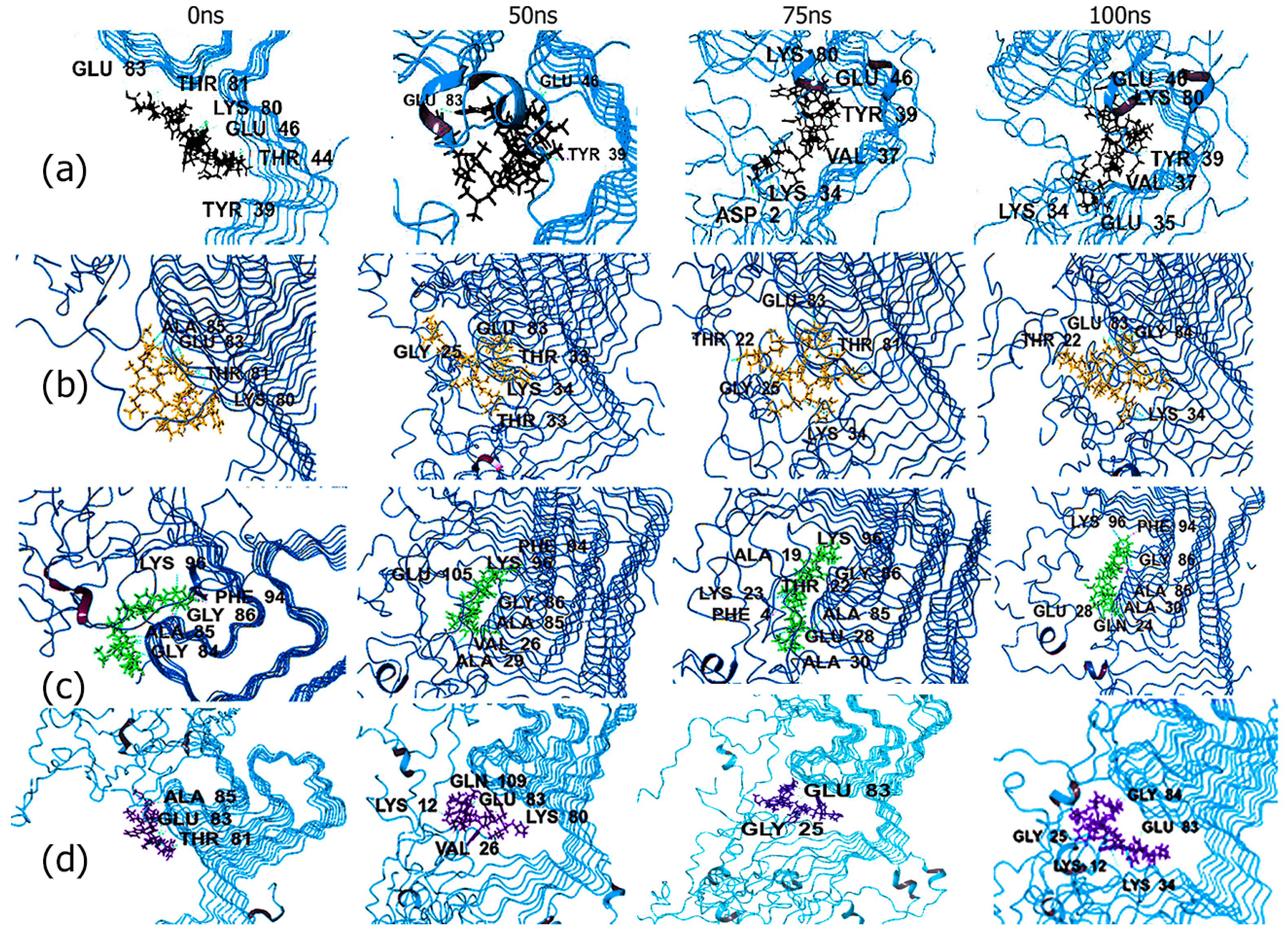 Biomimetics 09 00705 g005