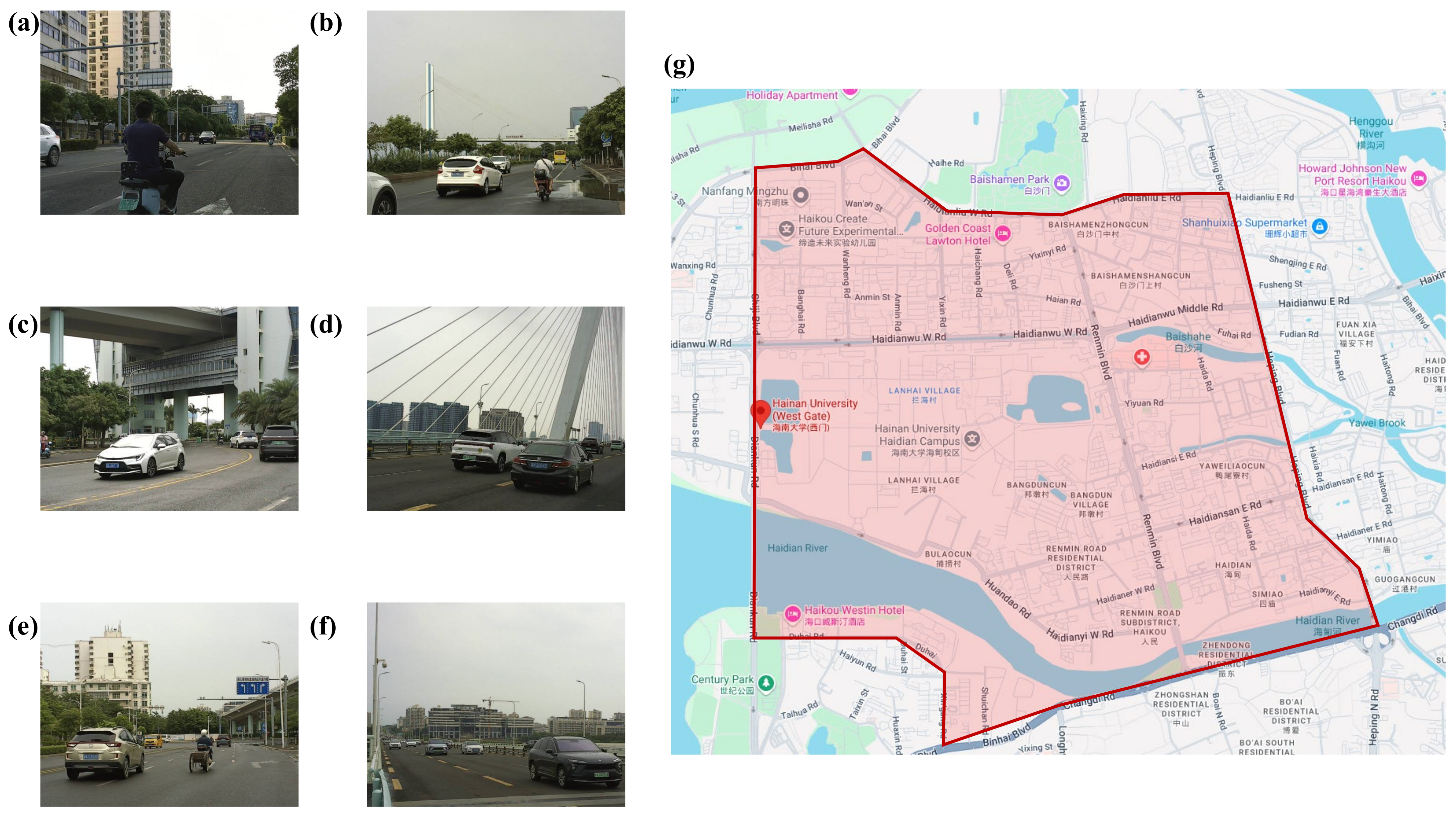 Biomimetics 09 00711 g001