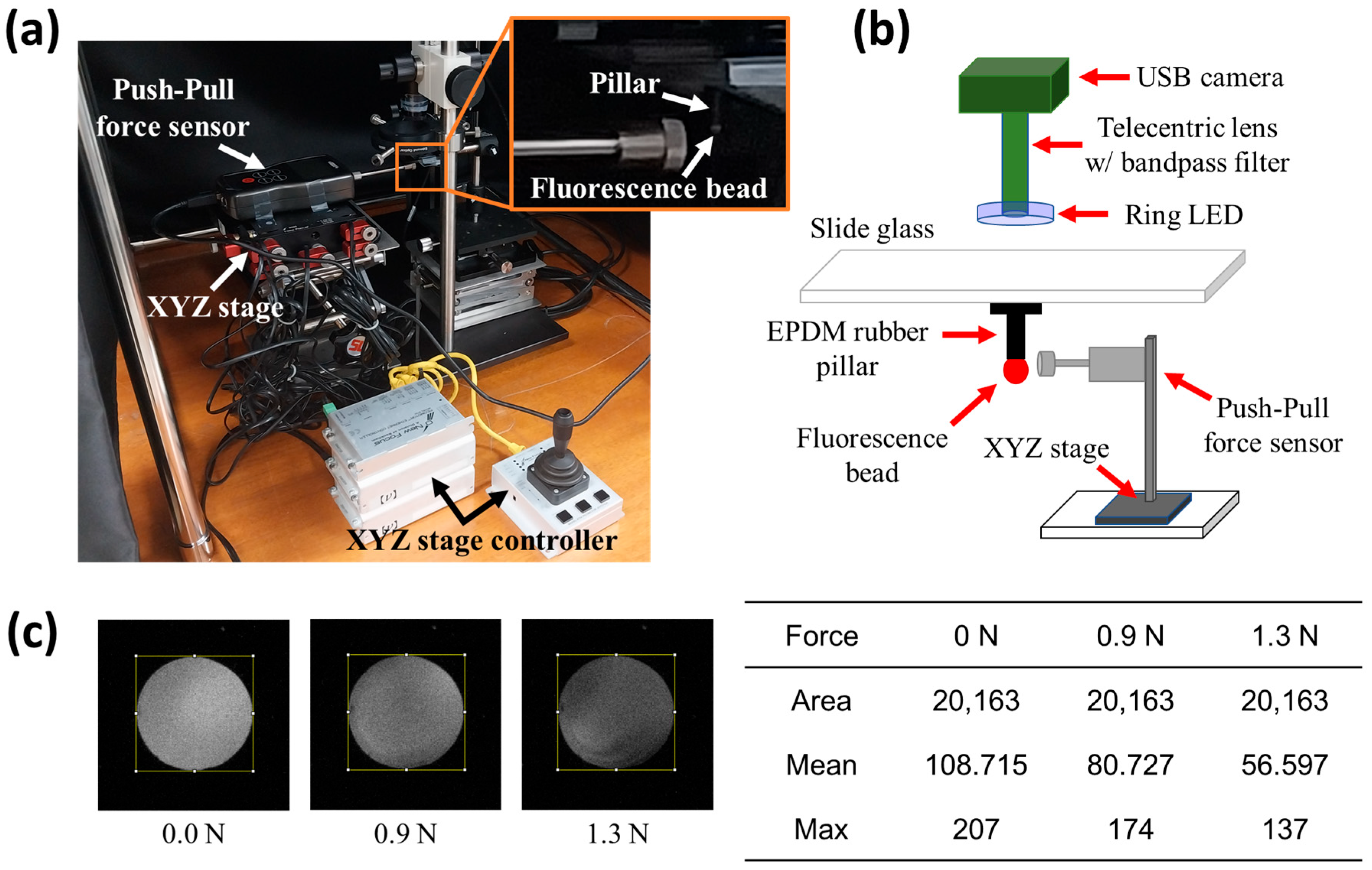 Biomimetics 09 00721 g003