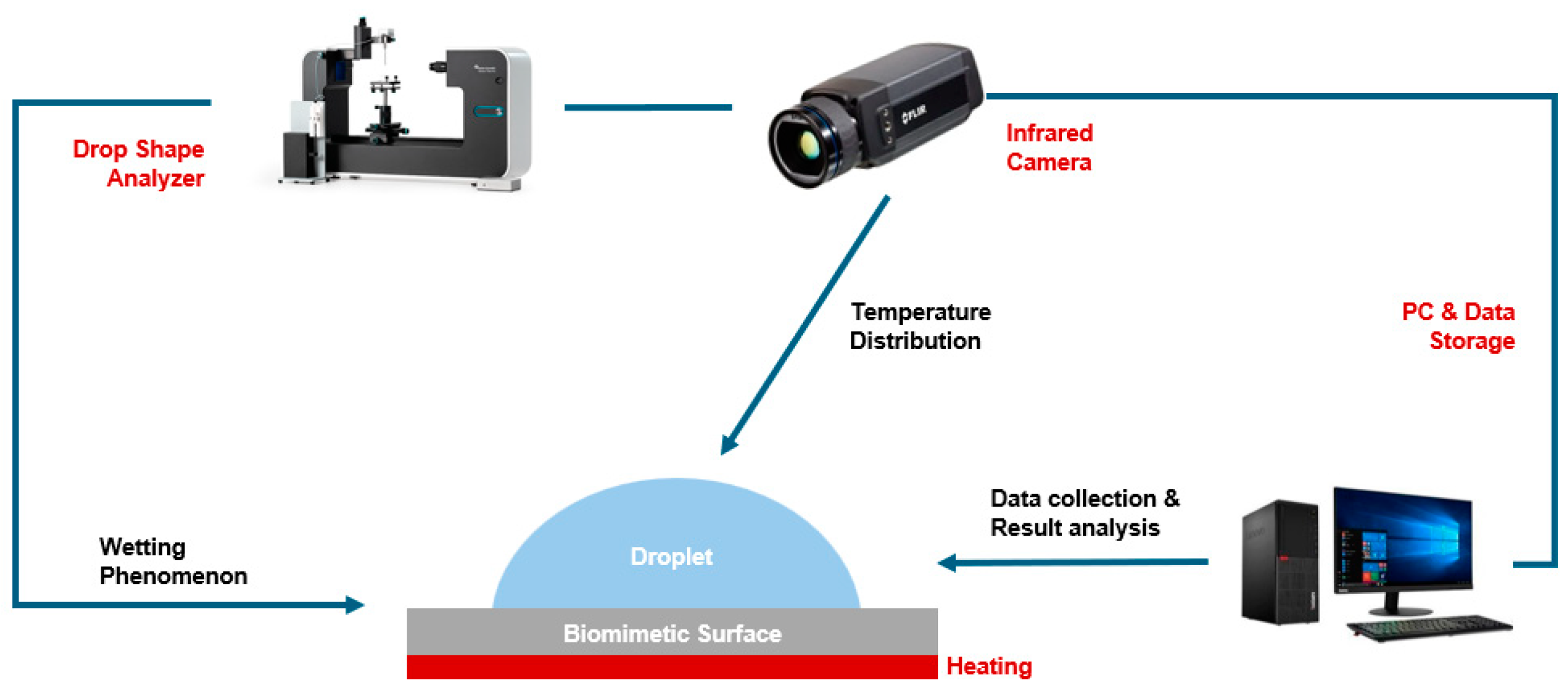 Biomimetics 09 00724 g003