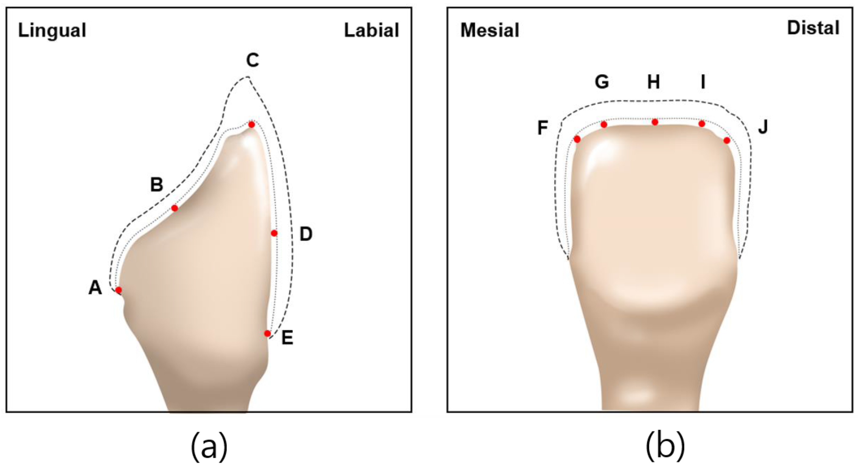 Biomimetics 09 00728 g005