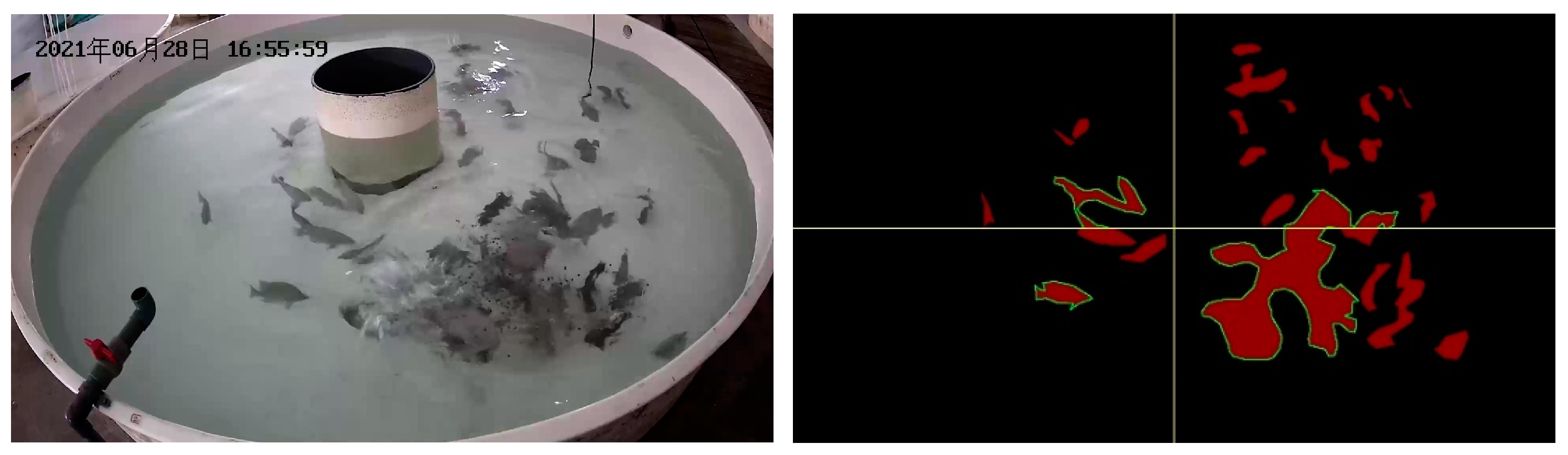 Biomimetics 09 00730 g008