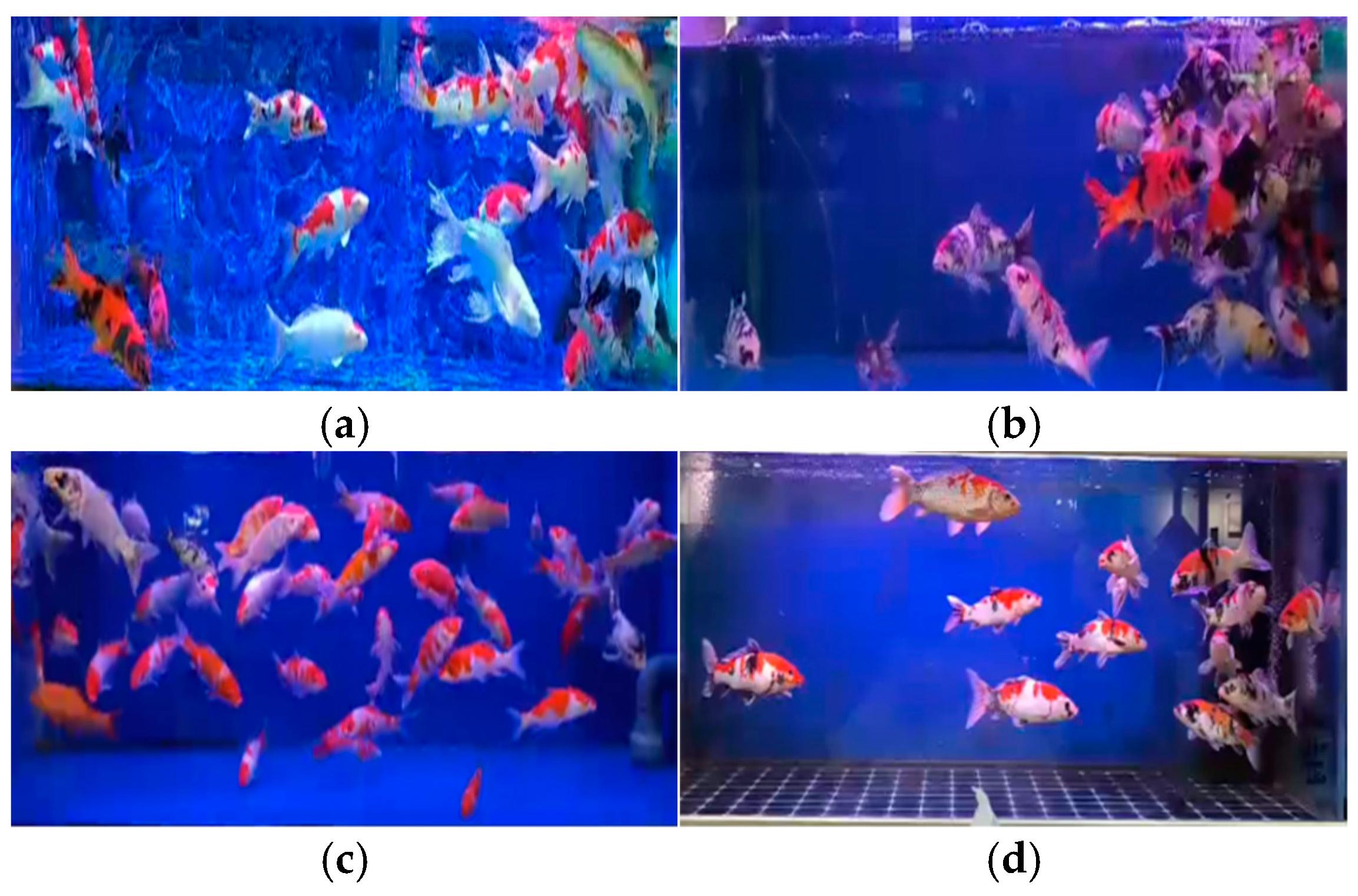 Biomimetics 09 00730 g009