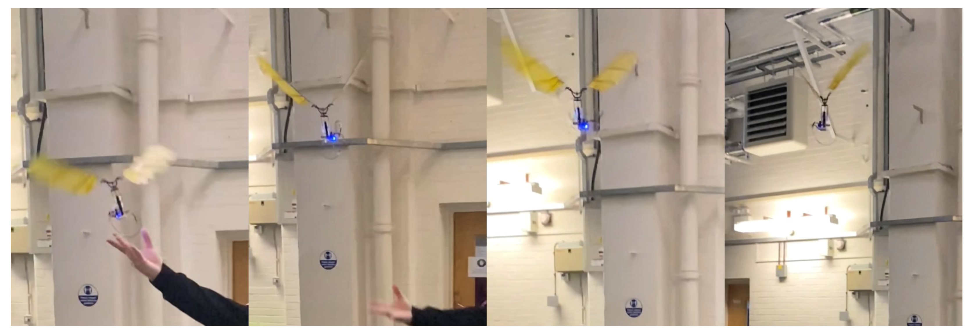 Flyable Micro Airplane Analysis and Testing of a Flyable Micro Flapping-Wing Rotor with a ...