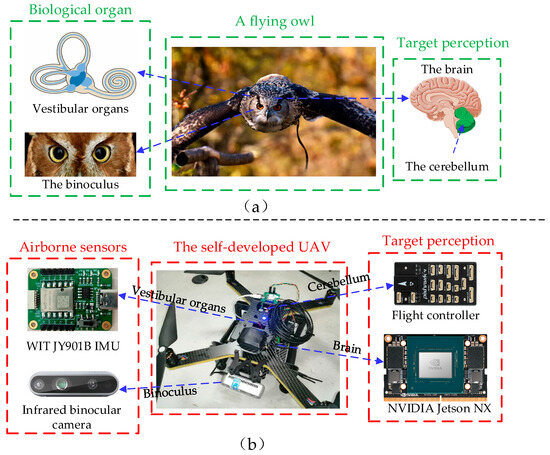 Biomimetics 09 00745 g002