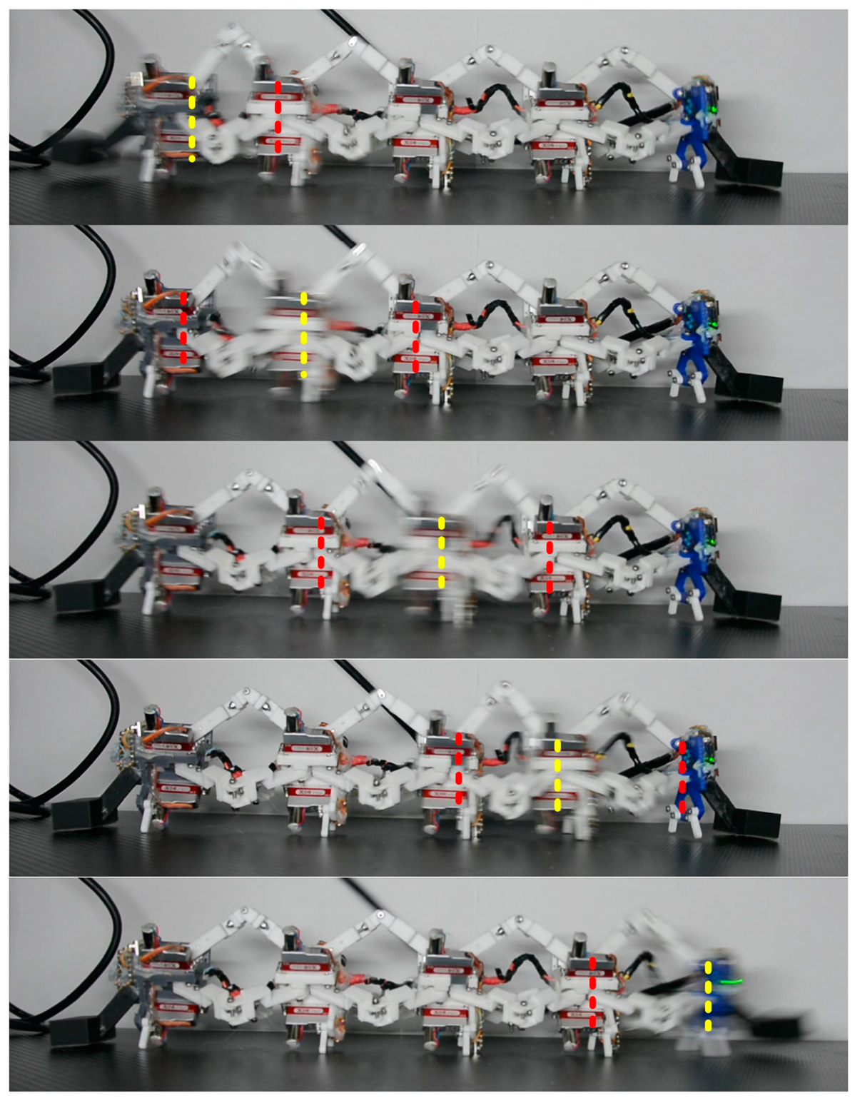 Biomimetics 09 00754 g014 Biomimetics 09 00754 g014