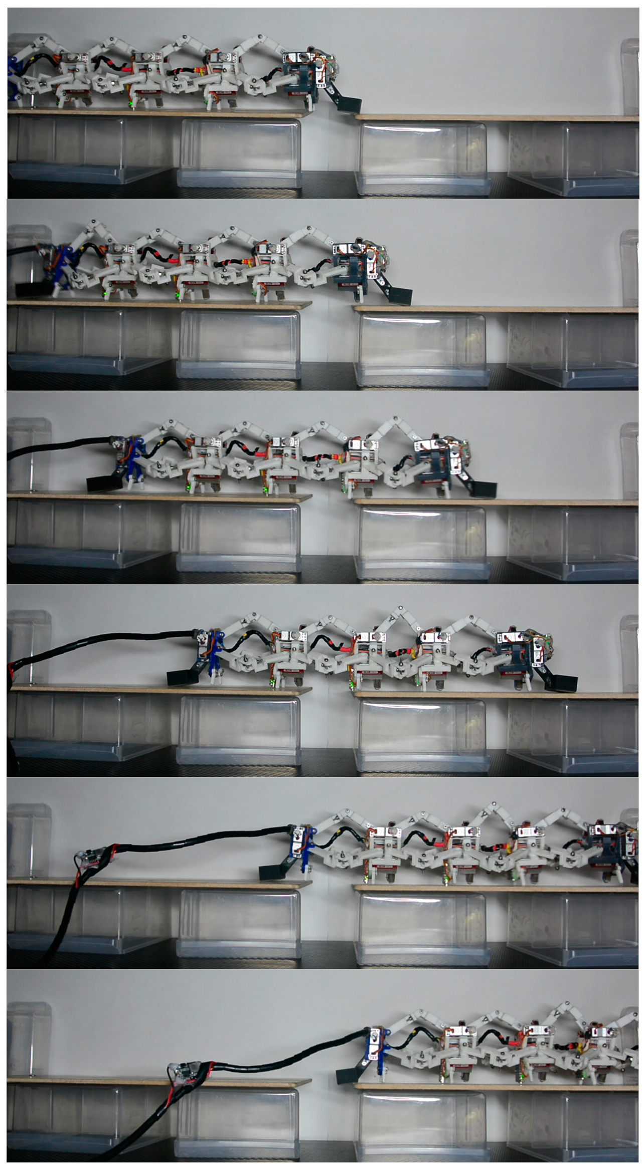 Biomimetics 09 00754 g015 Biomimetics 09 00754 g015