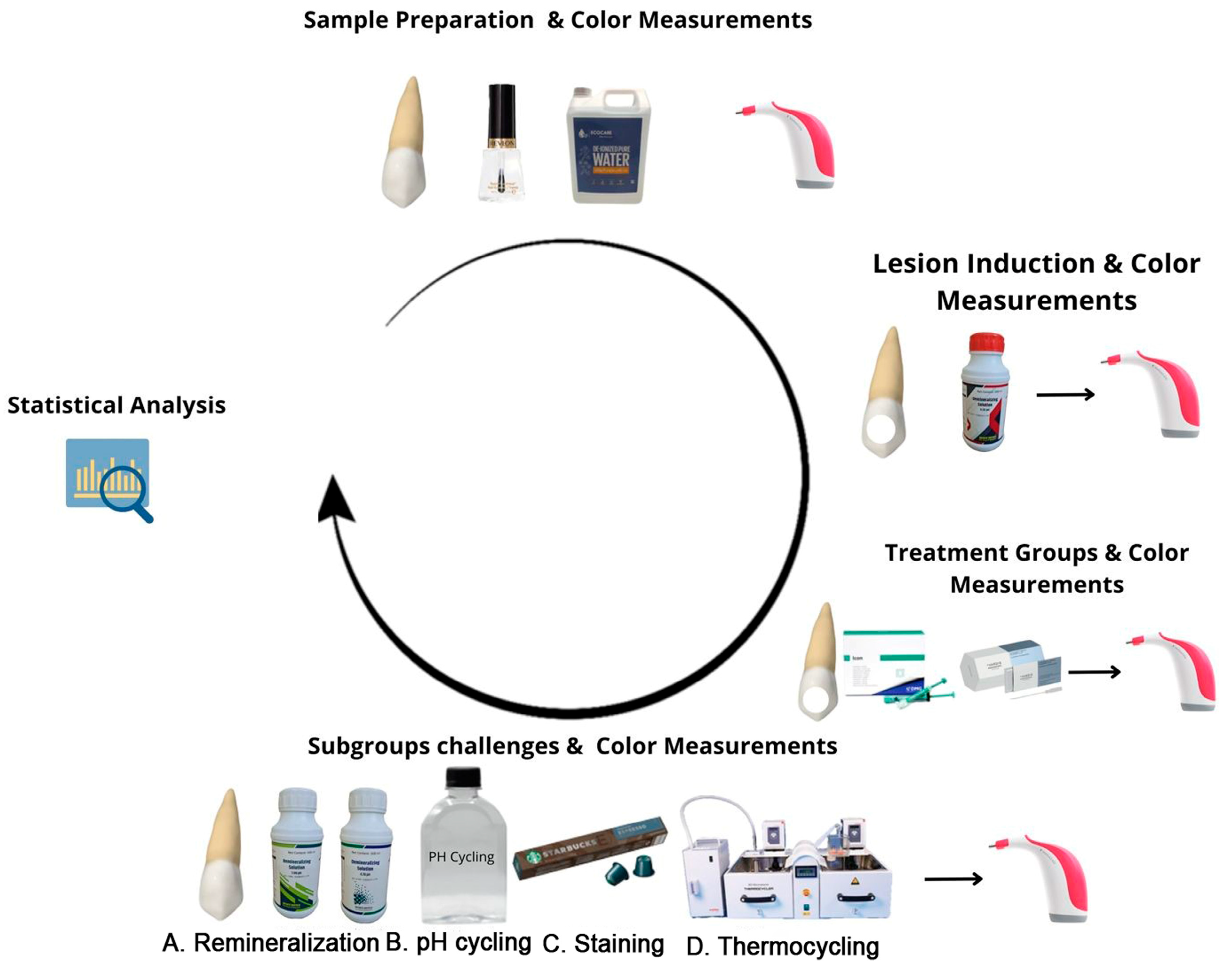 Biomimetics 09 00764 g001