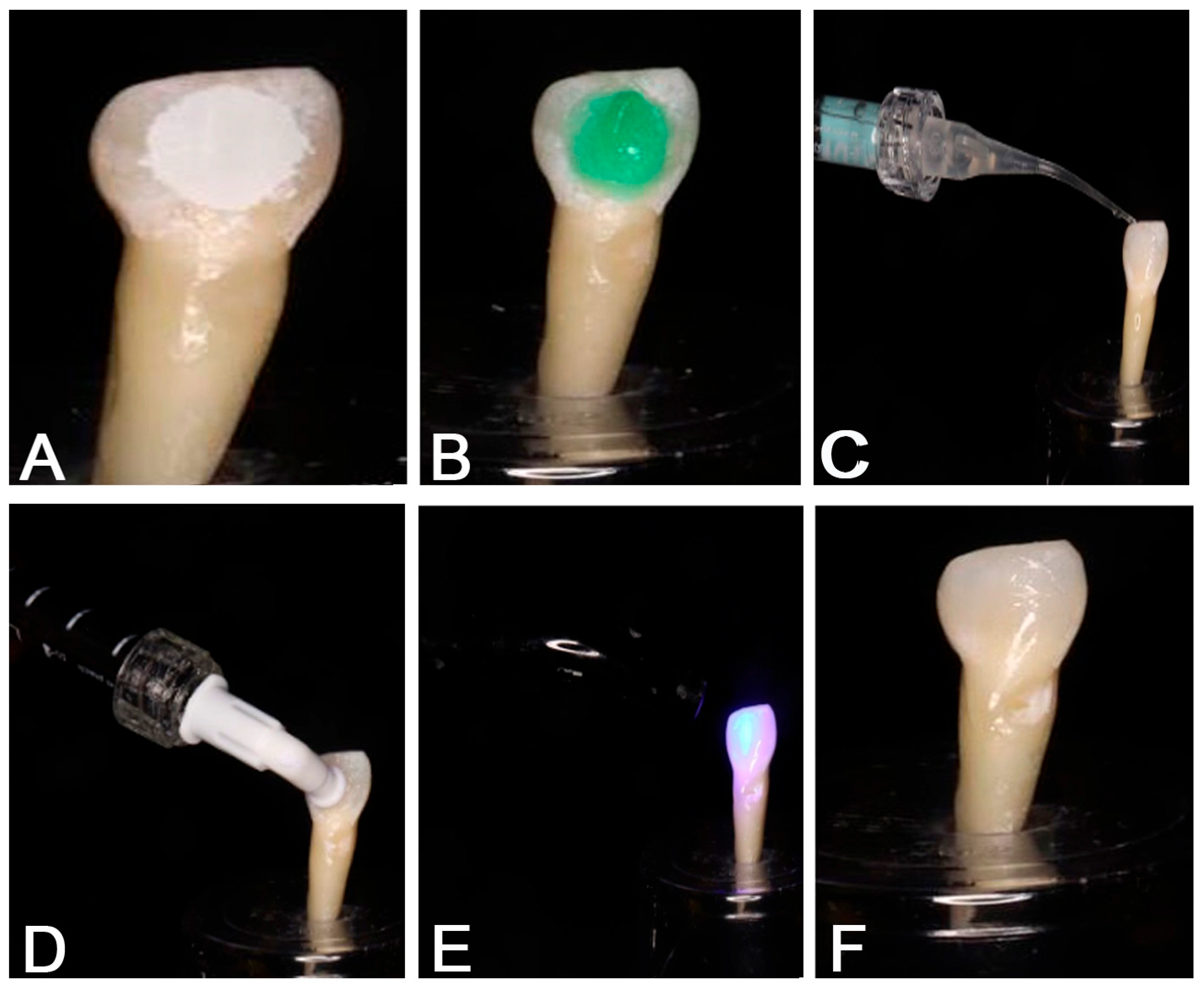 Biomimetics 09 00764 g002