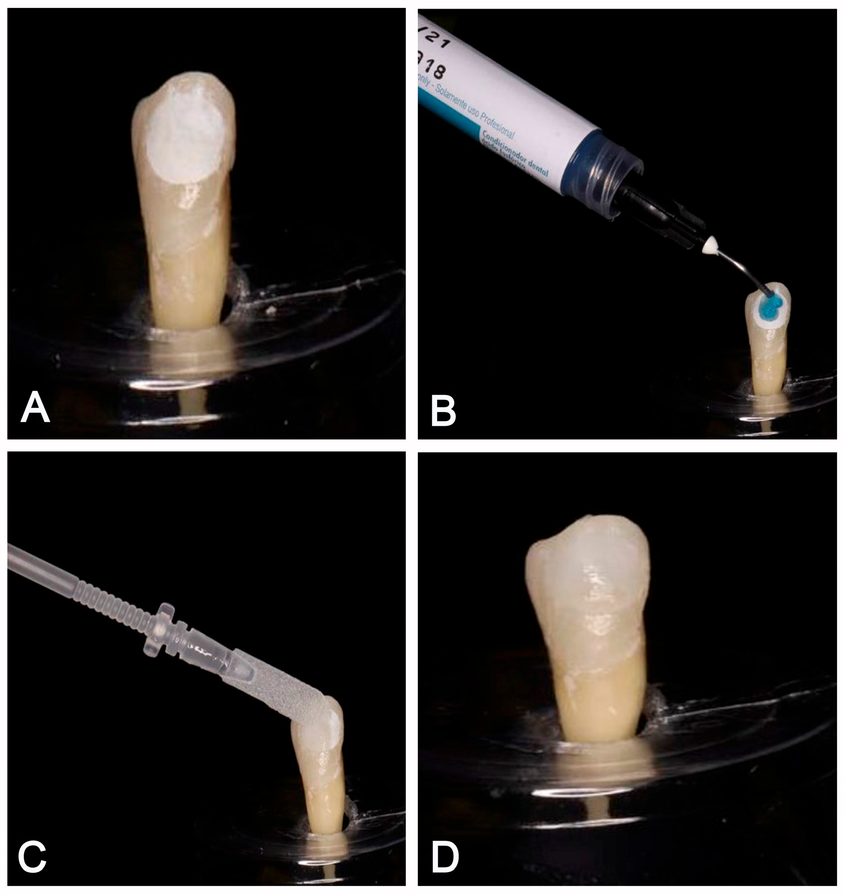 Biomimetics 09 00764 g003