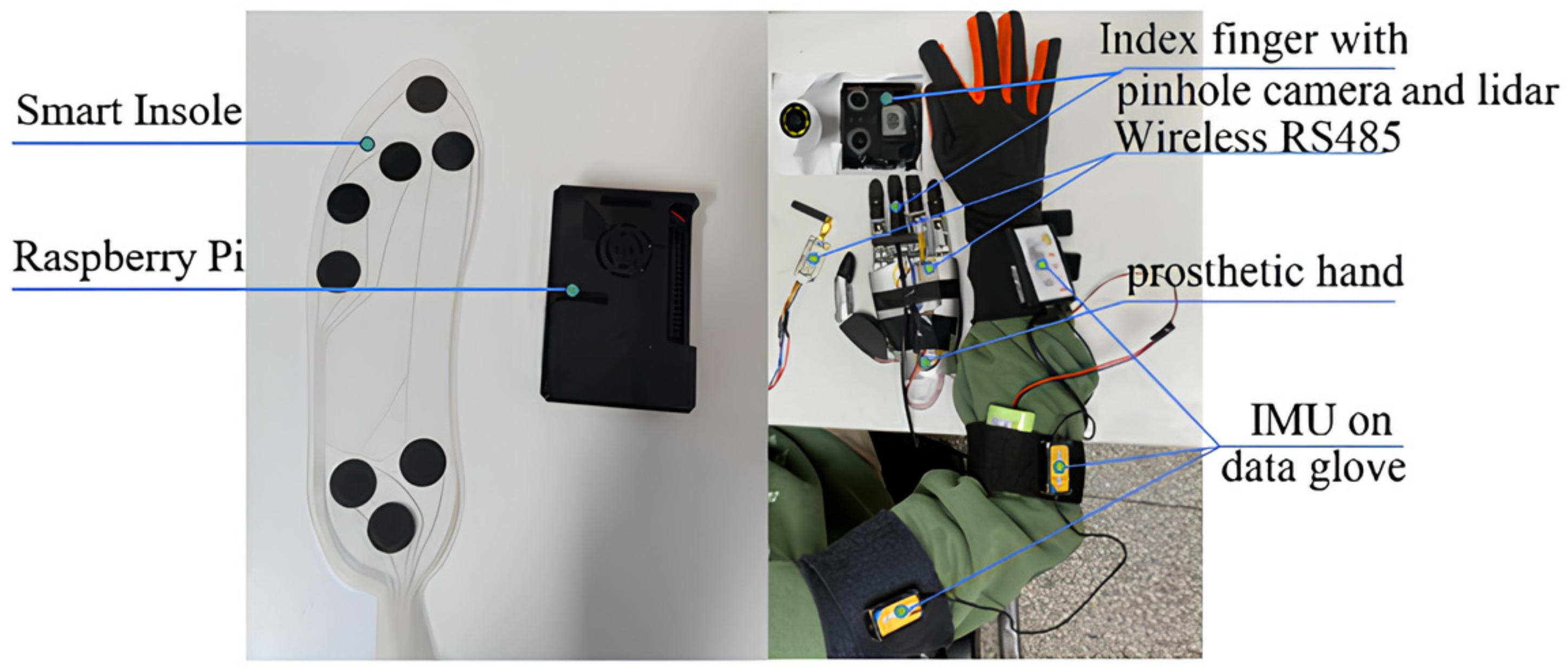 Biomimetics 09 00775 g001