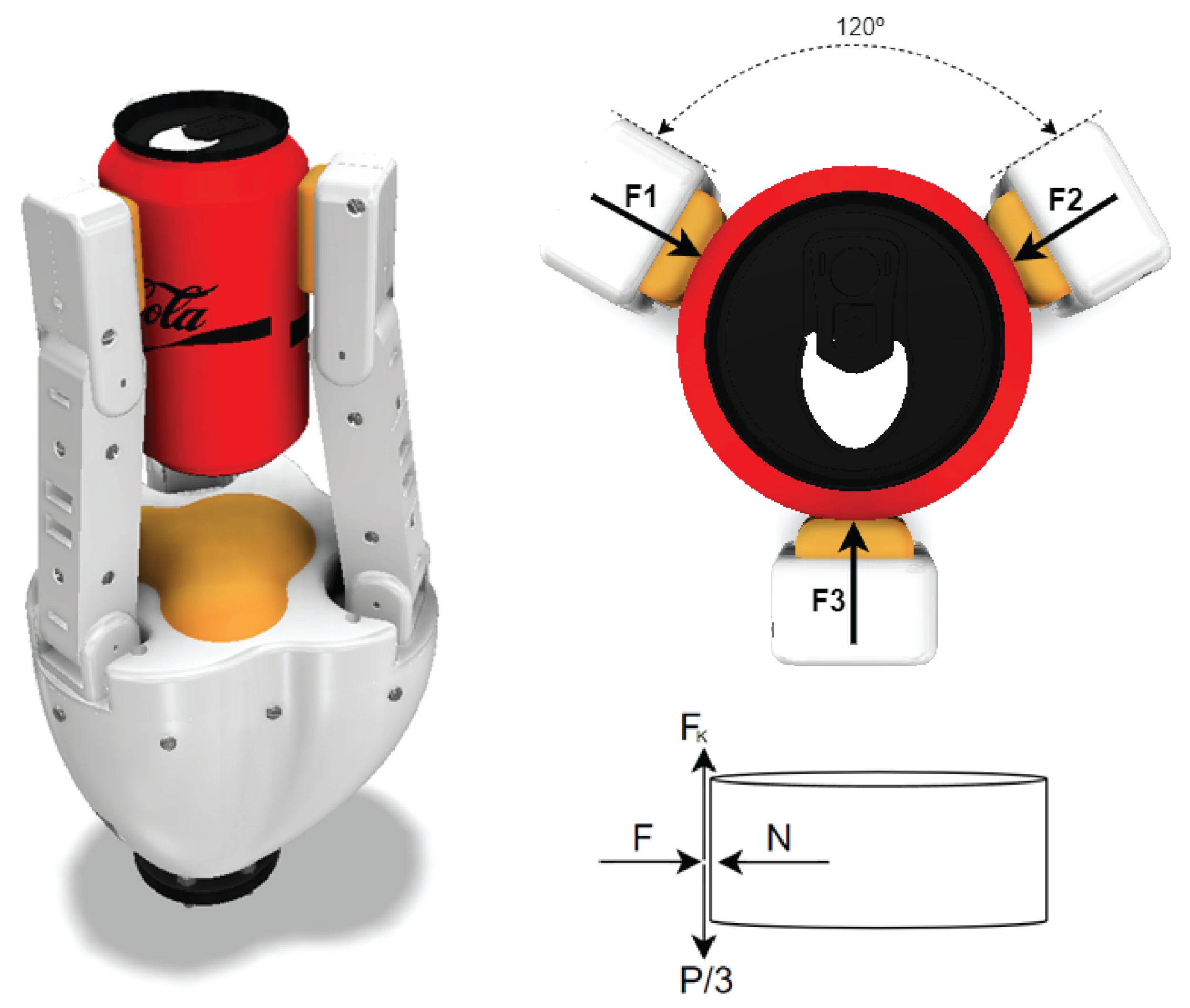 Biomimetics 10 00026 g005