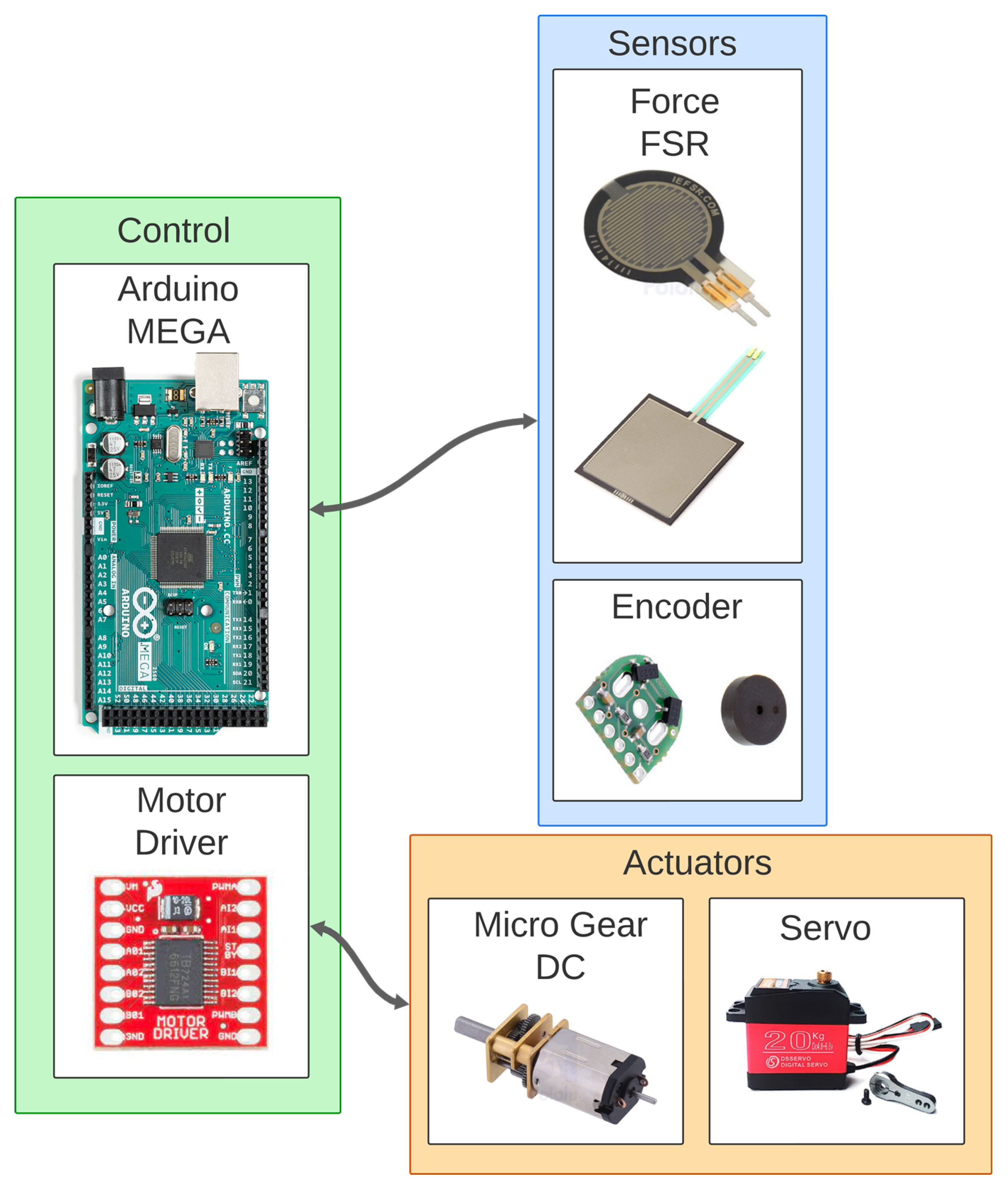 Biomimetics 10 00026 g006