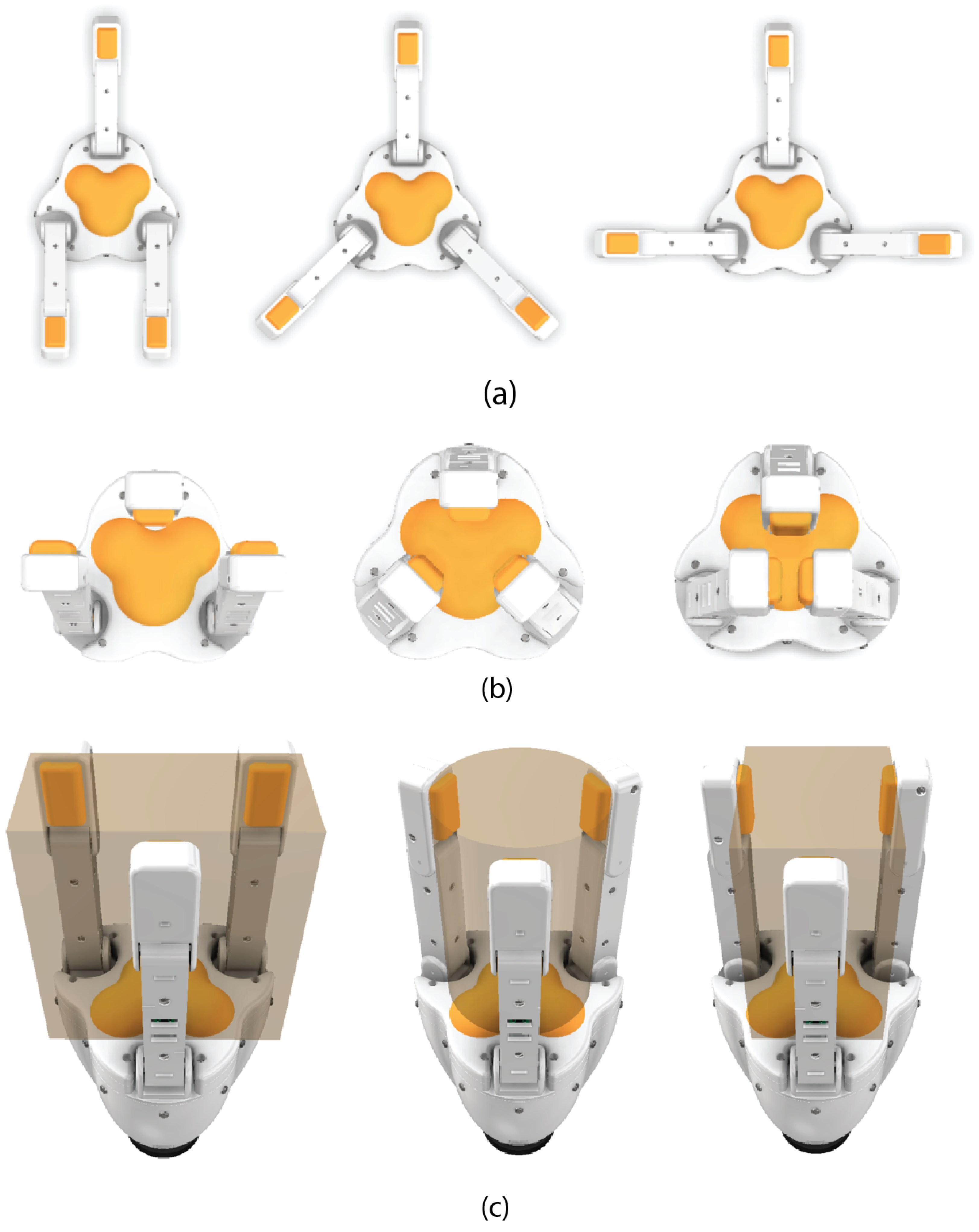 Biomimetics 10 00026 g008