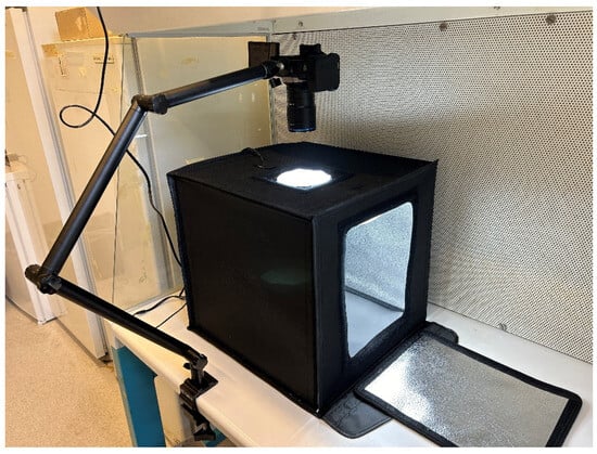 Biomimetics 10 00033 g0a1