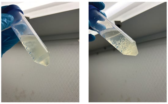 Biomimetics 10 00033 g0a2