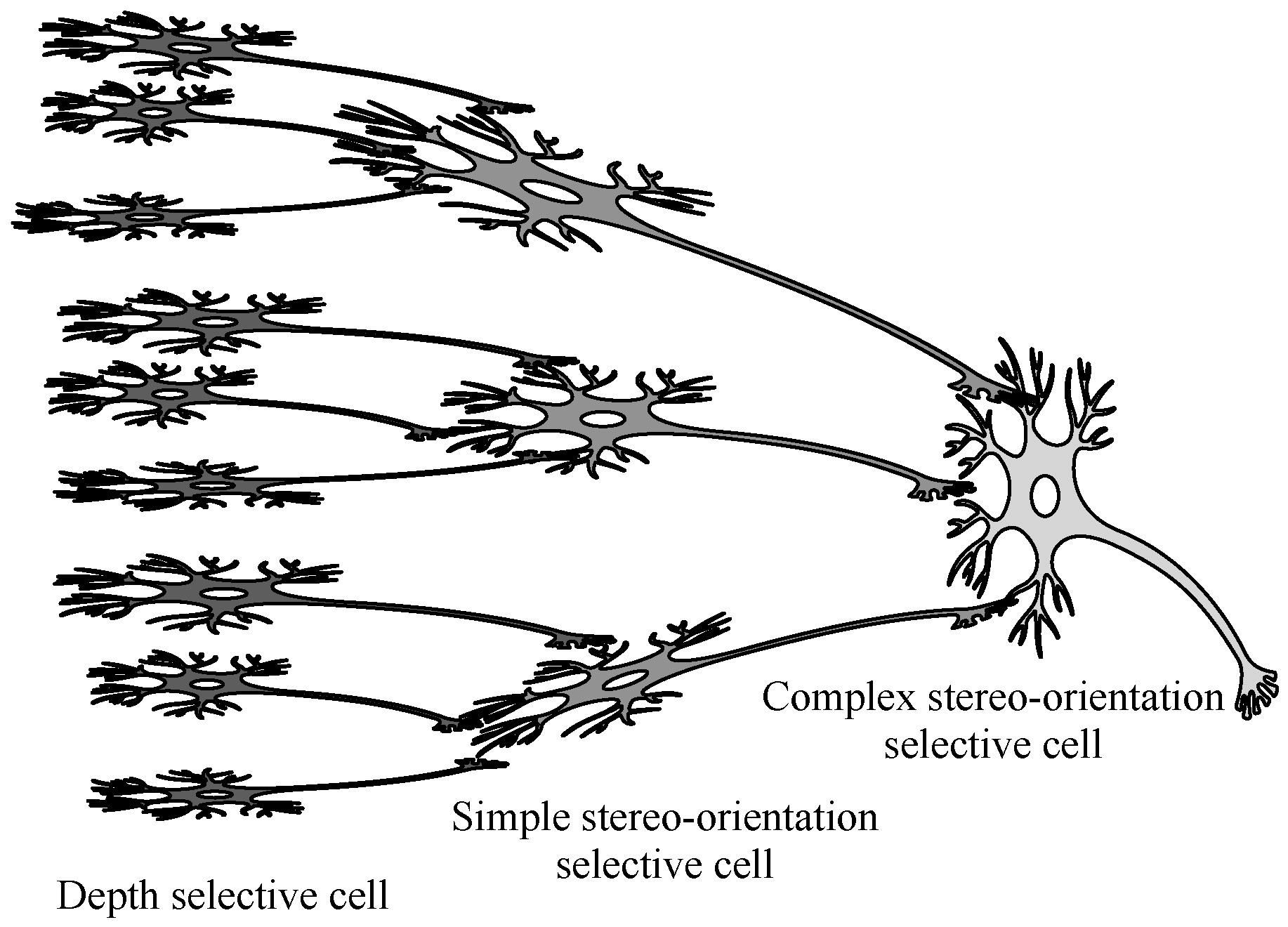 Biomimetics 10 00038 g002