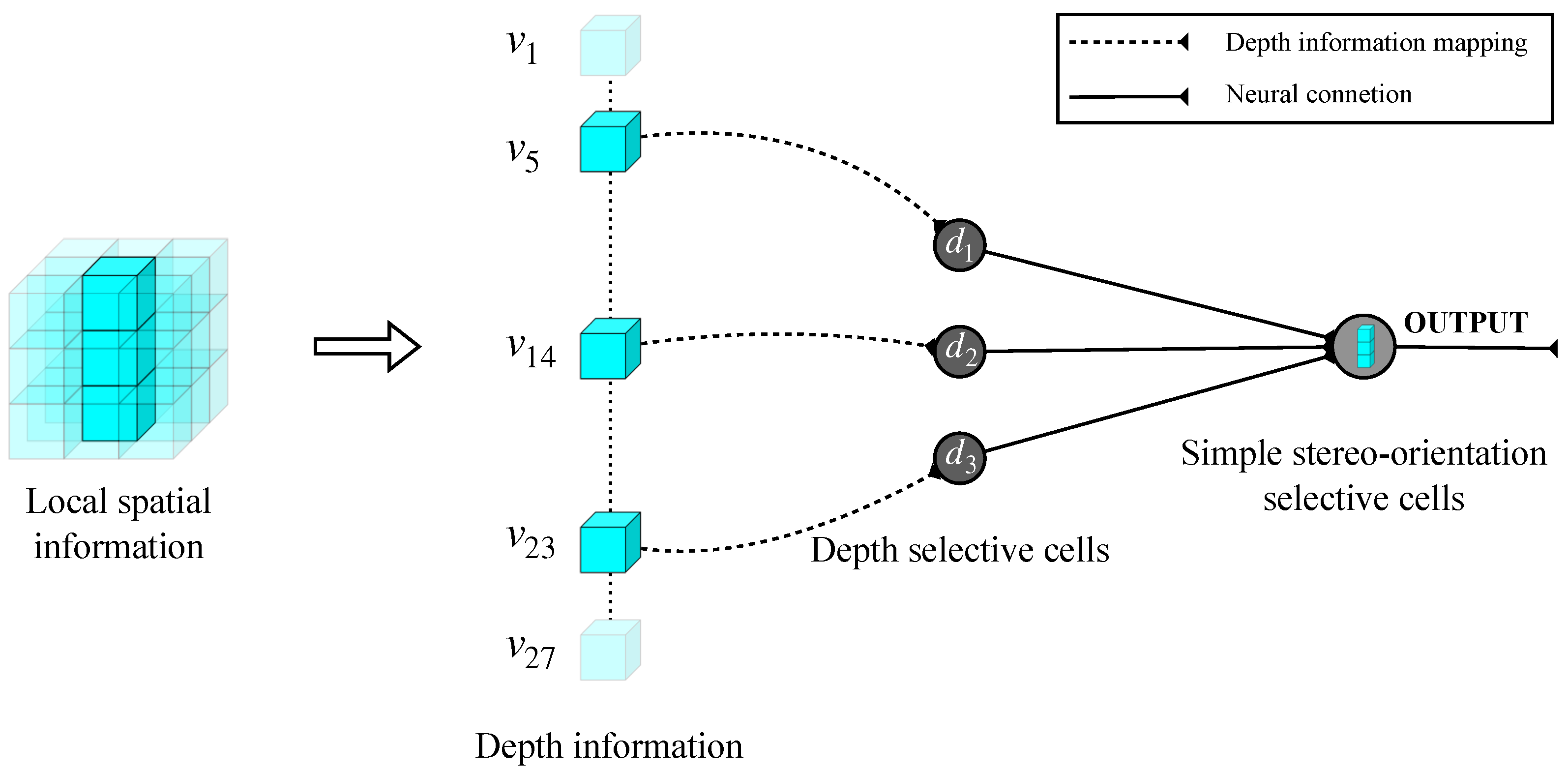 Biomimetics 10 00038 g003