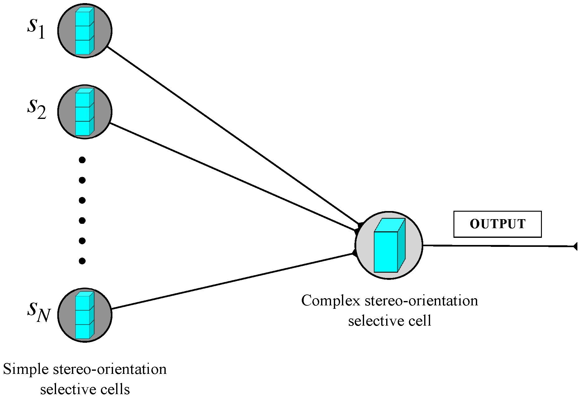 Biomimetics 10 00038 g005