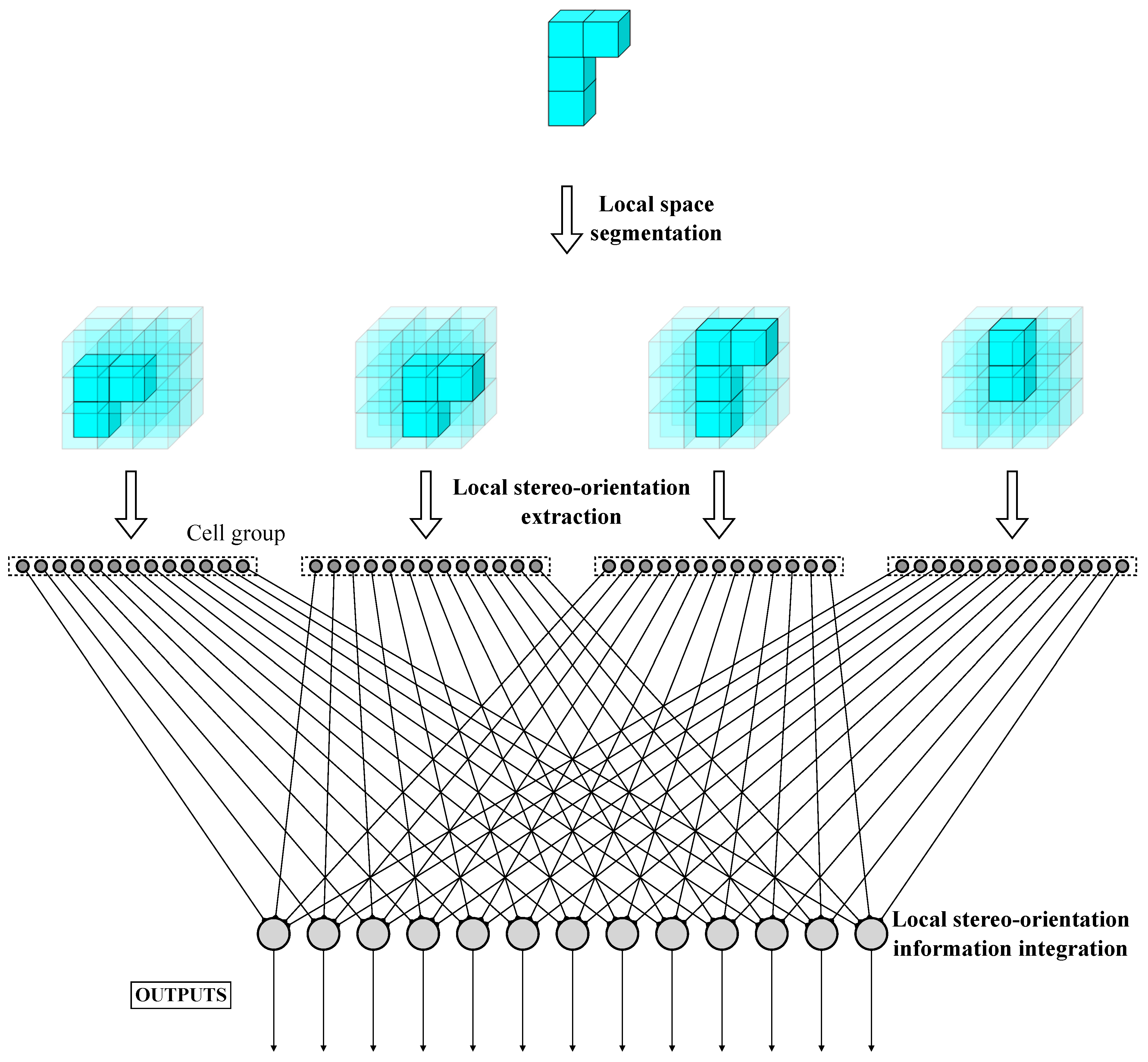 Biomimetics 10 00038 g006